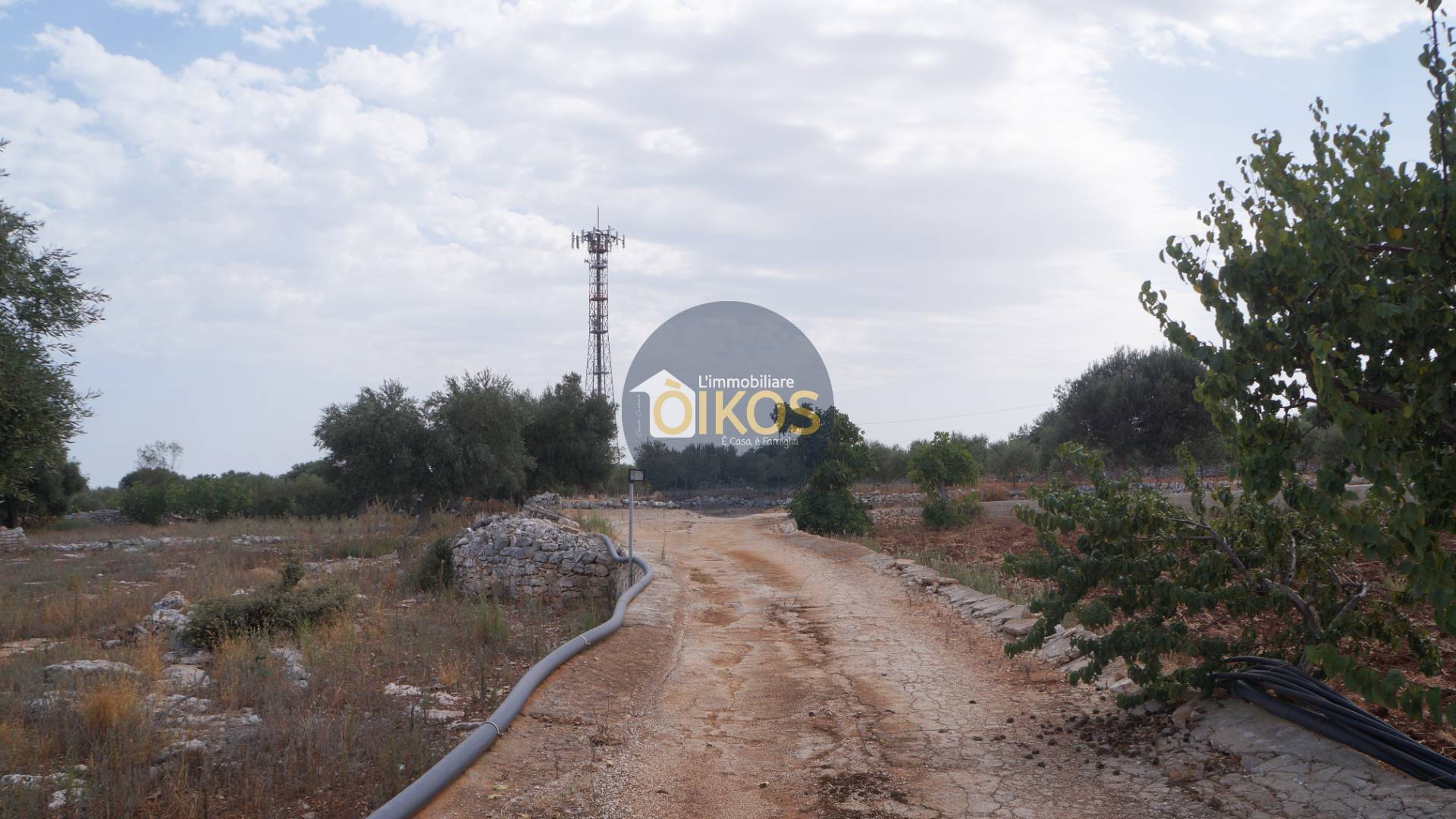 Terreno Agricolo in vendita a Polignano a Mare