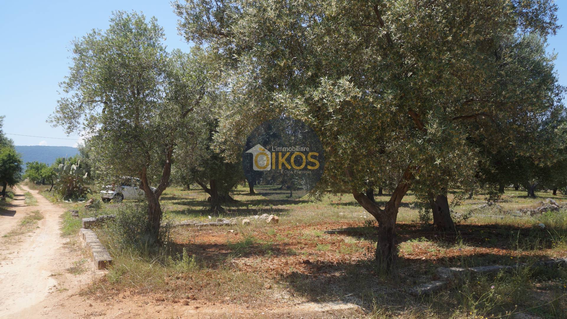 Terreno Agricolo in vendita a Fasano, Pezze Di Greco