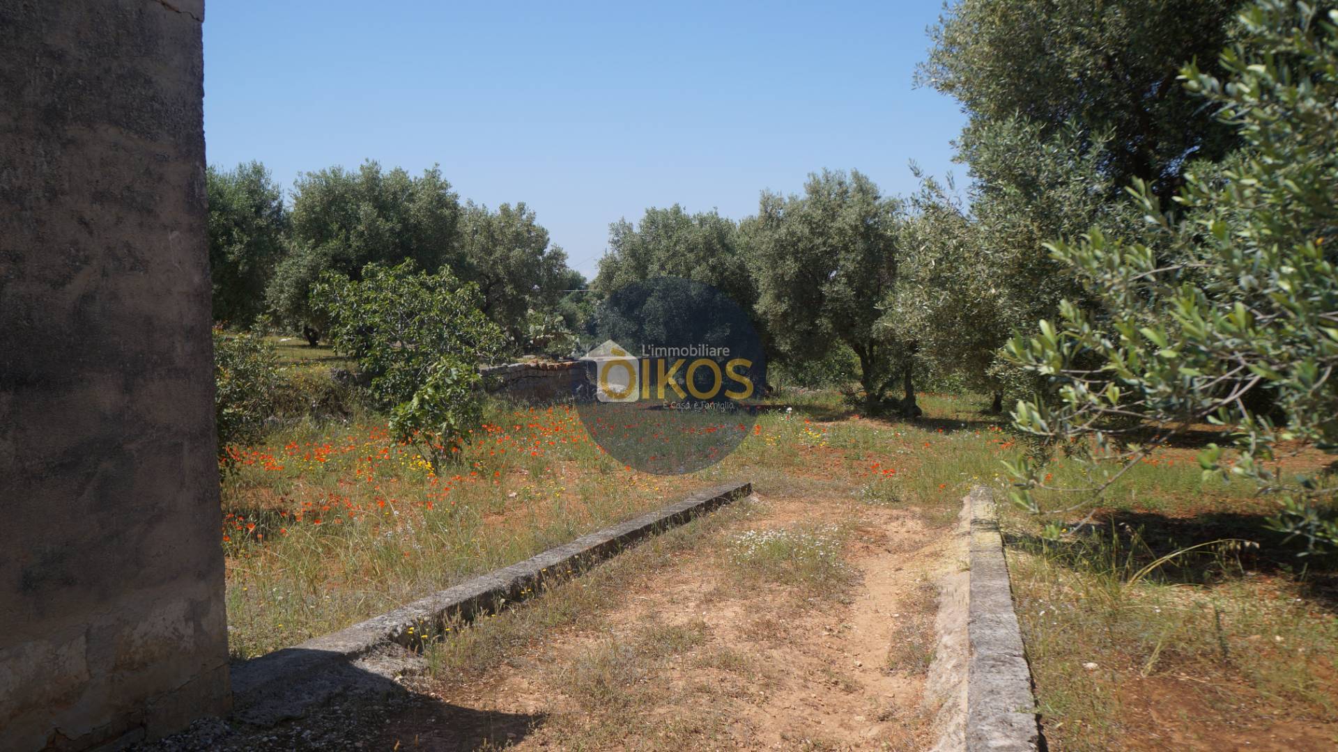 Terreno Agricolo in vendita a Fasano, Pezze Di Greco