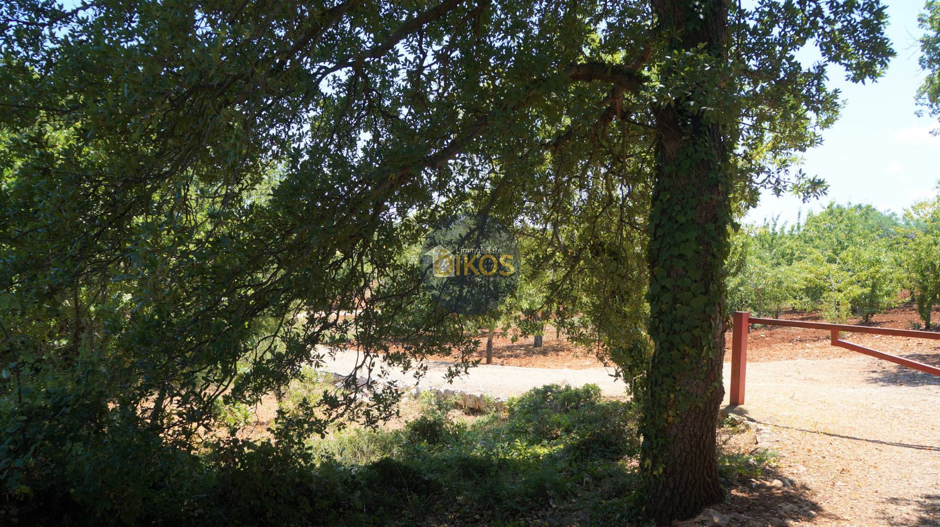 Terreno Agricolo in vendita a Monopoli