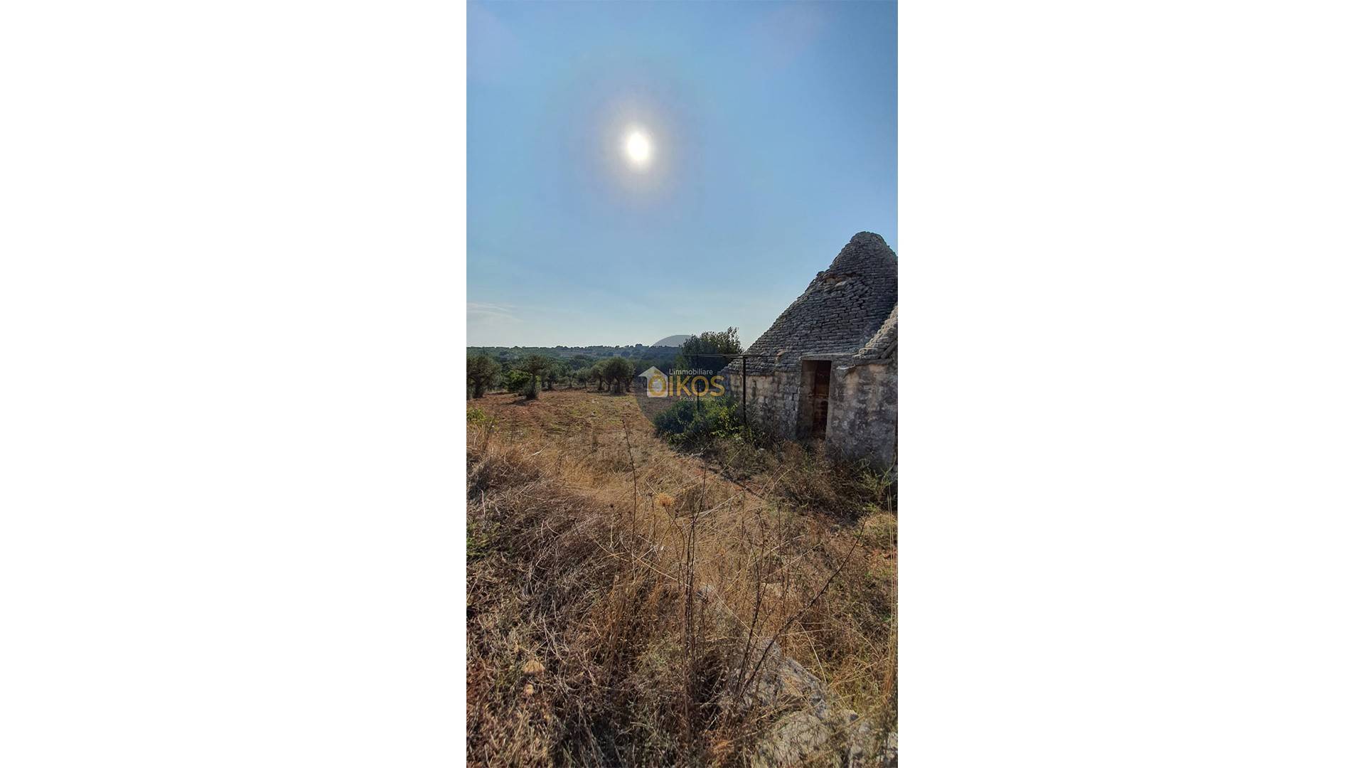 Terreno Agricolo in vendita a Monopoli