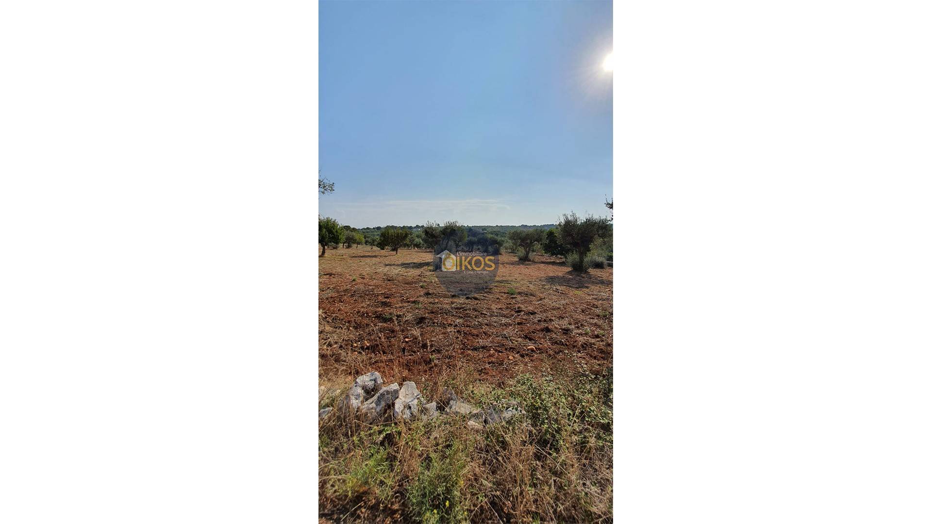 Terreno Agricolo in vendita a Monopoli