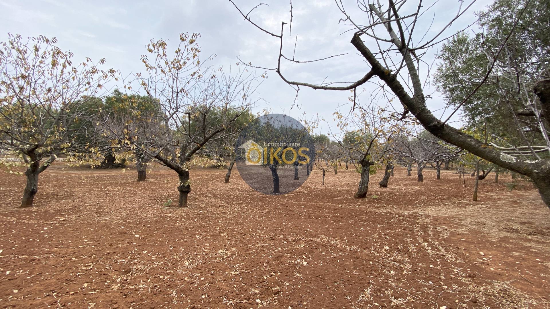 Terreno edificabile in vendita a Monopoli