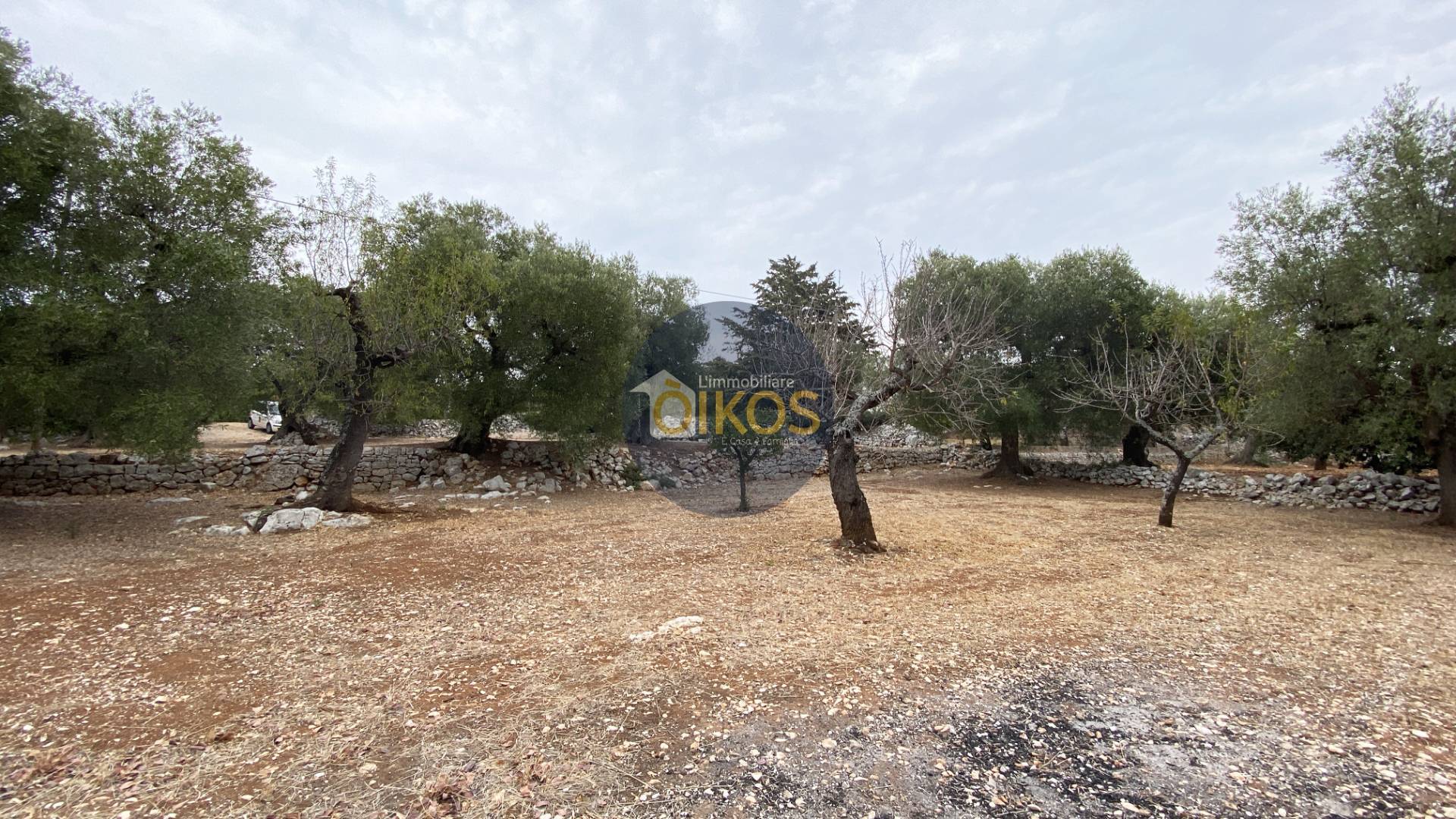 Terreno edificabile in vendita a Monopoli