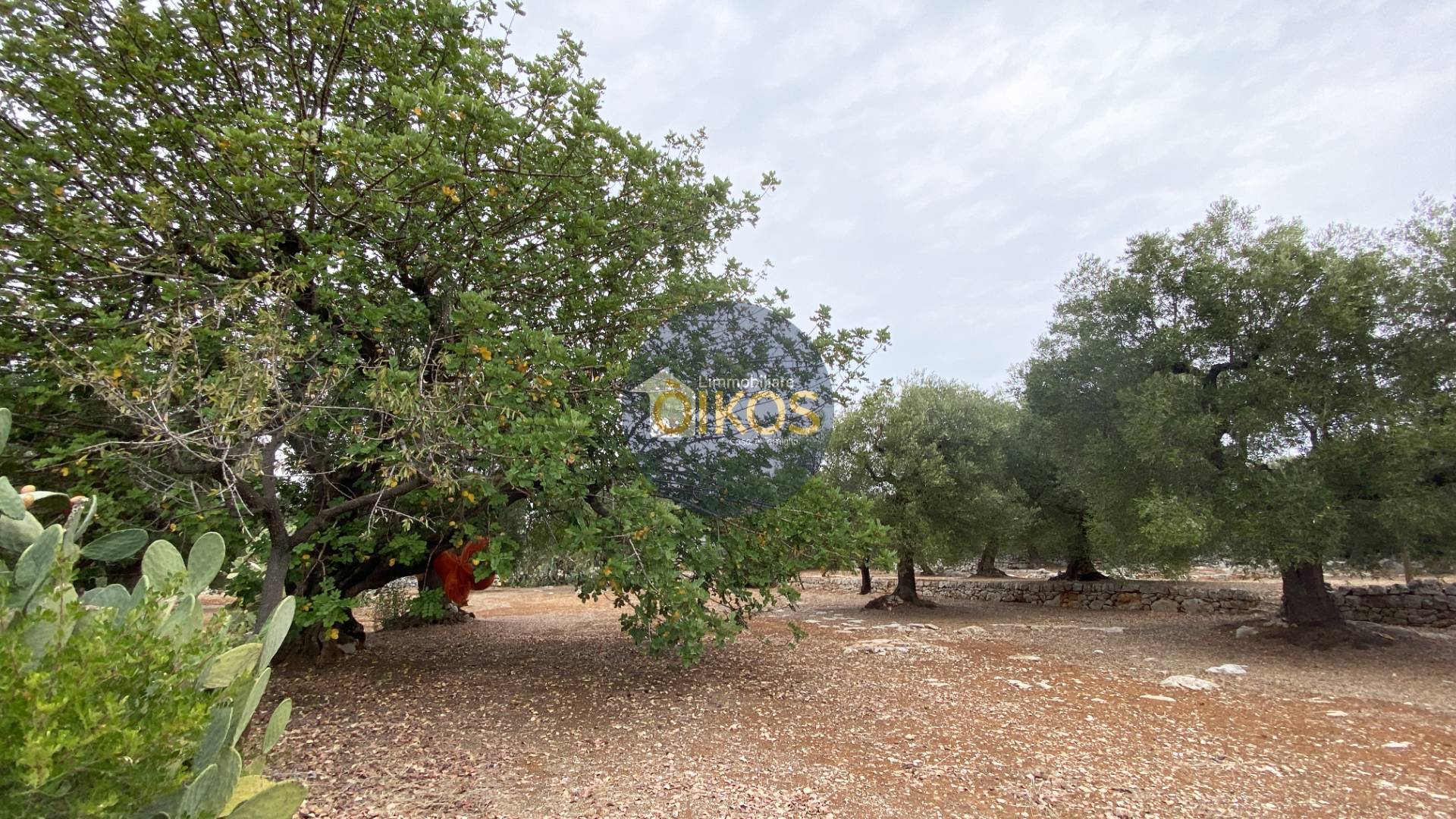 Terreno edificabile in vendita a Monopoli