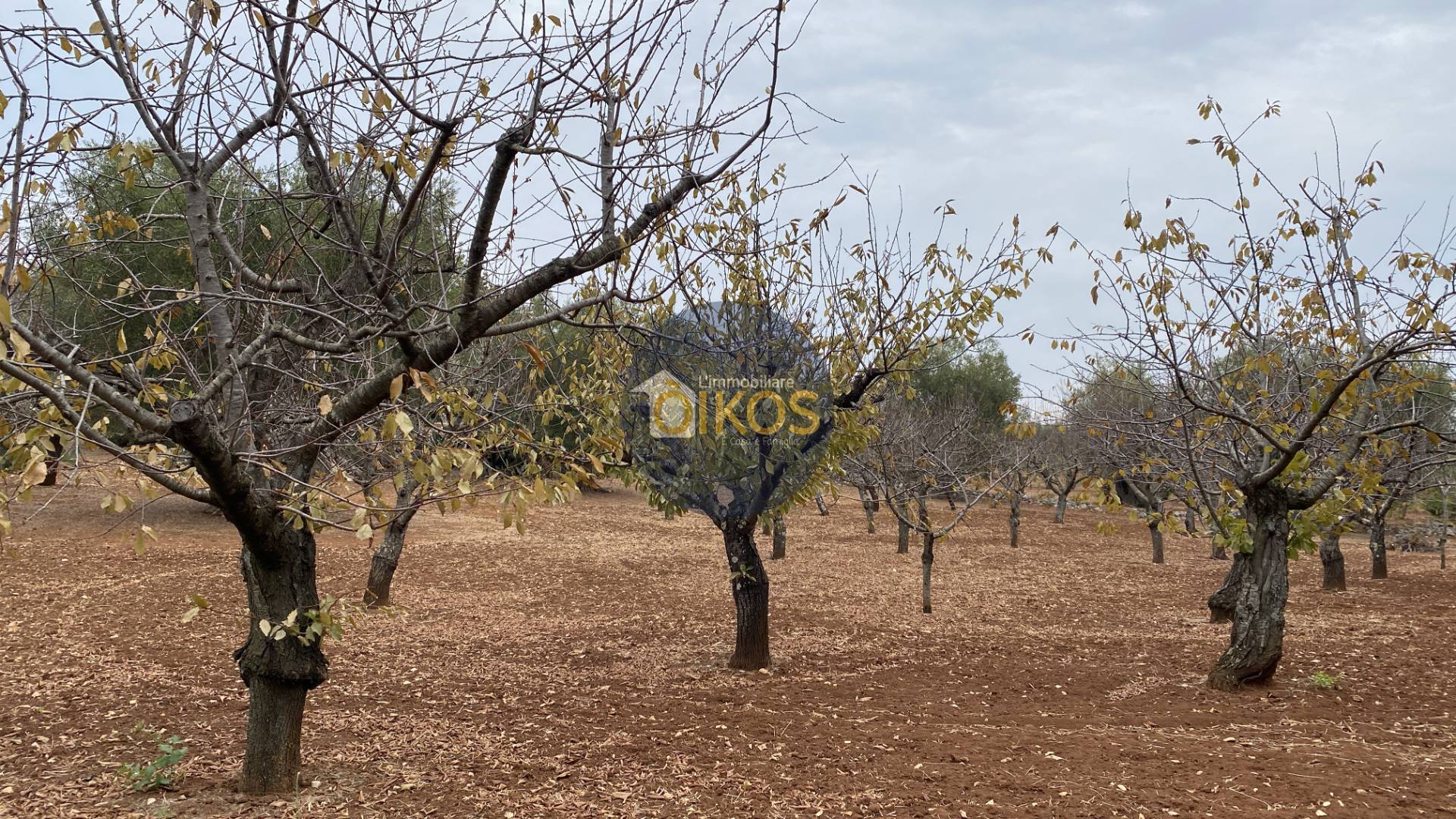 Terreno edificabile in vendita a Monopoli