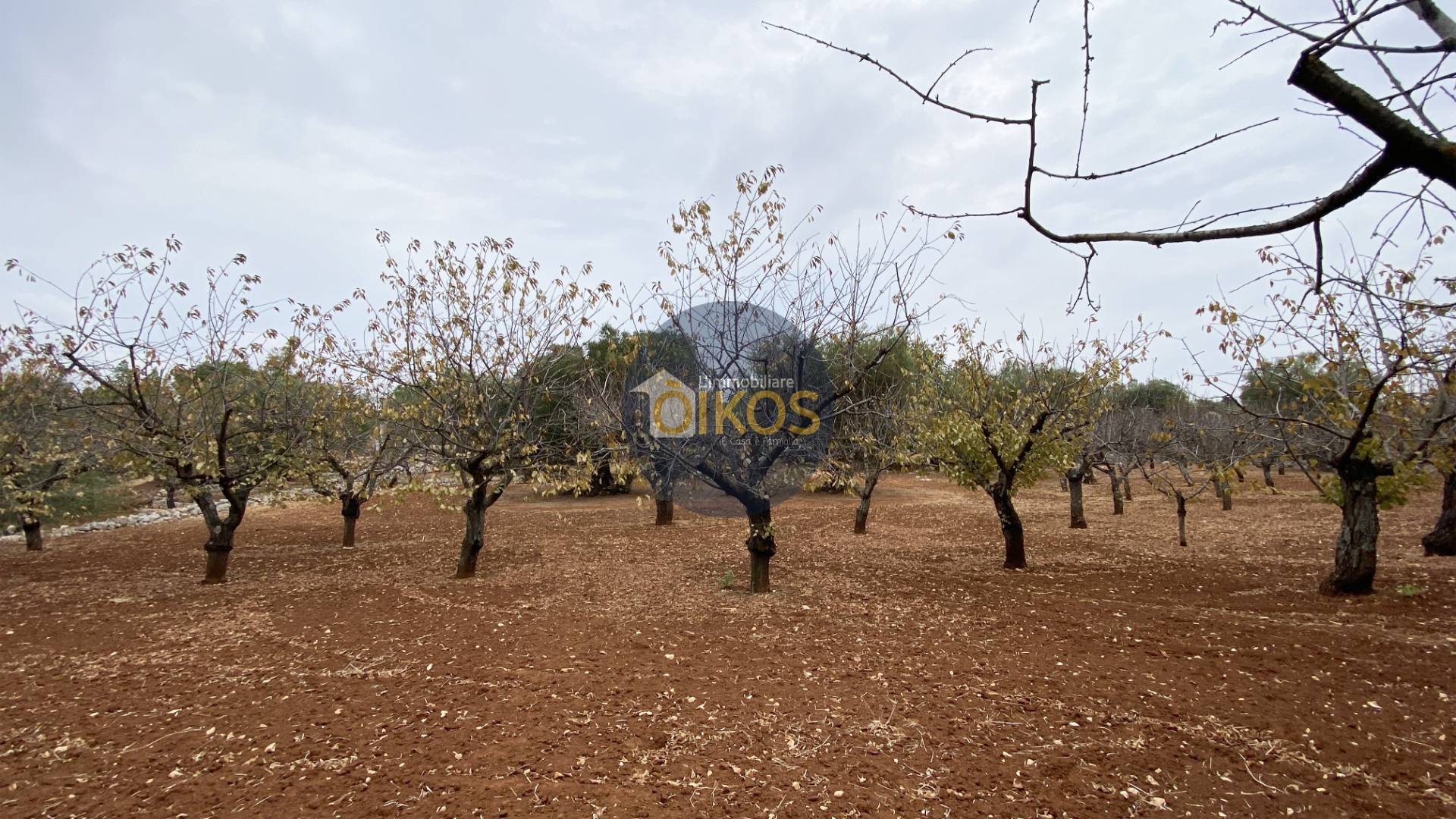 Terreno edificabile in vendita a Monopoli