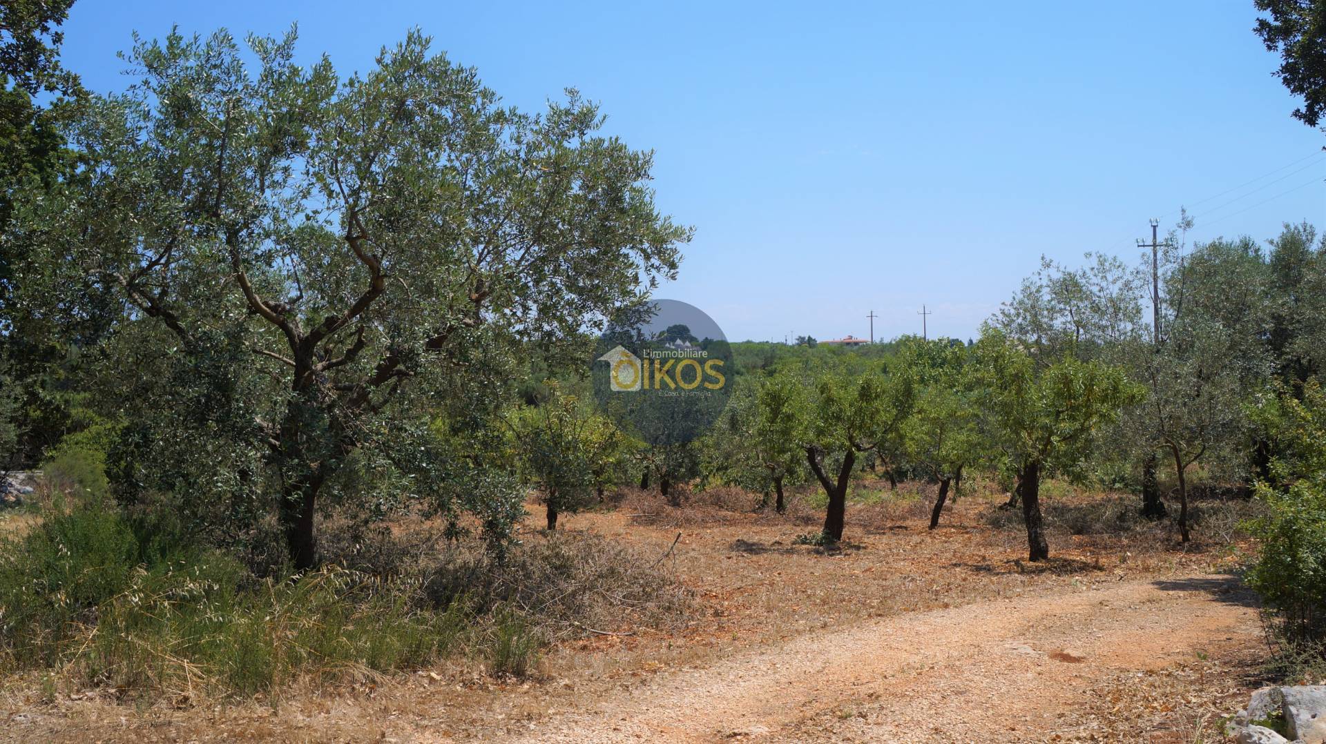 Terreno Agricolo in vendita a Monopoli