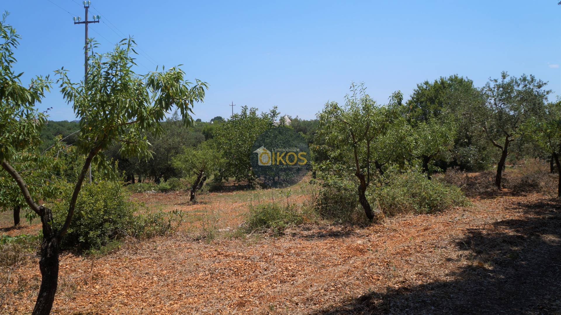 Terreno Agricolo in vendita a Monopoli