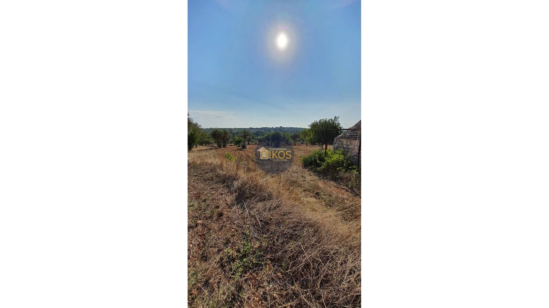 Terreno Agricolo in vendita a Monopoli