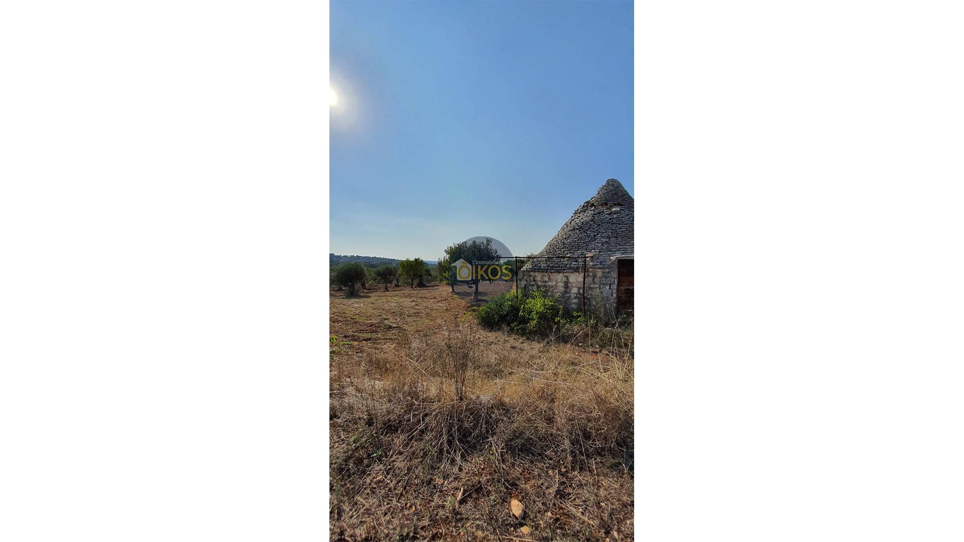 Terreno Agricolo in vendita a Monopoli