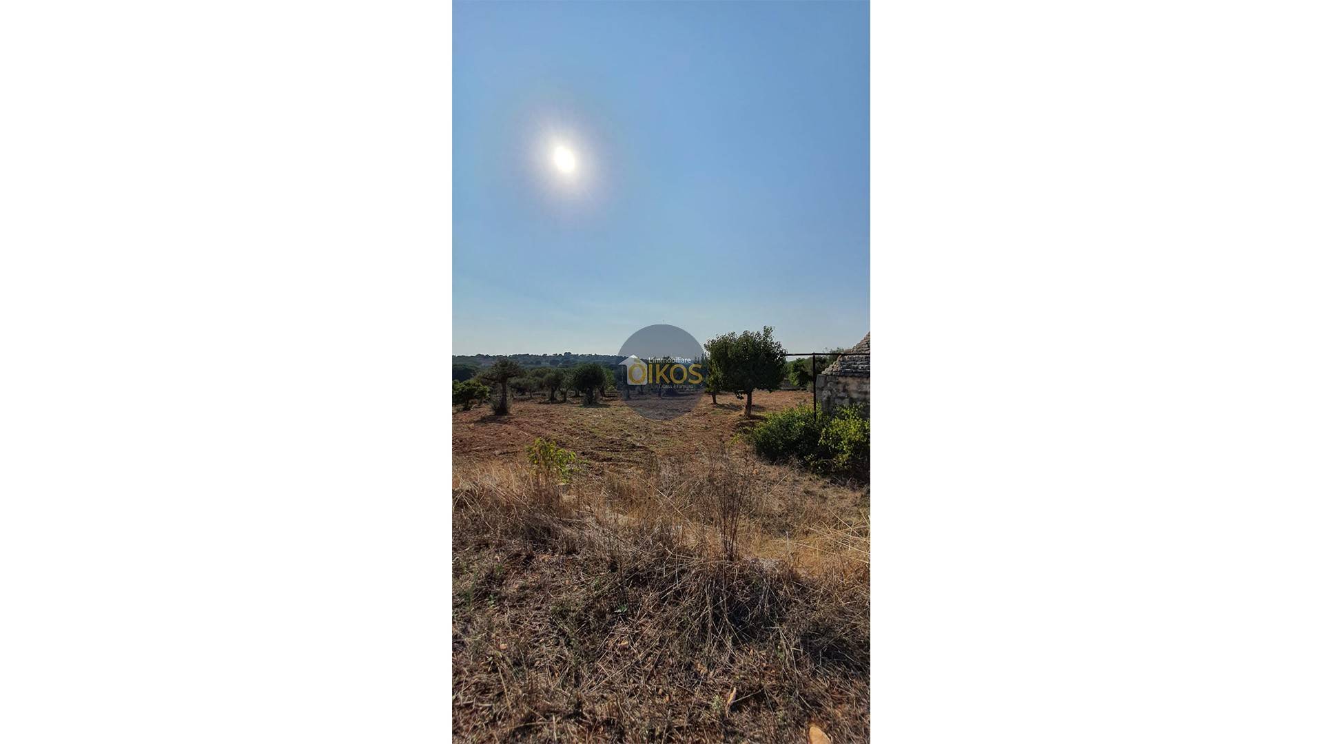 Terreno Agricolo in vendita a Monopoli