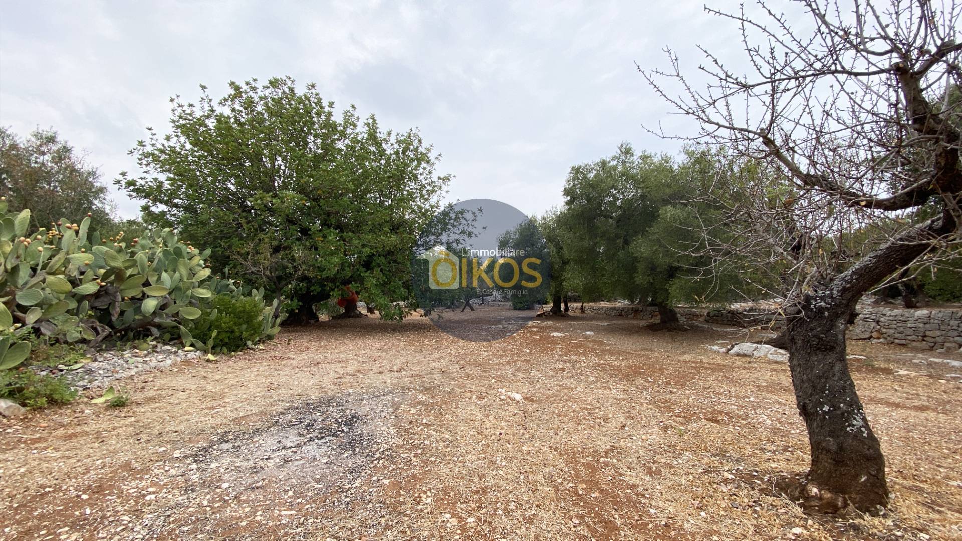 Terreno edificabile in vendita a Monopoli