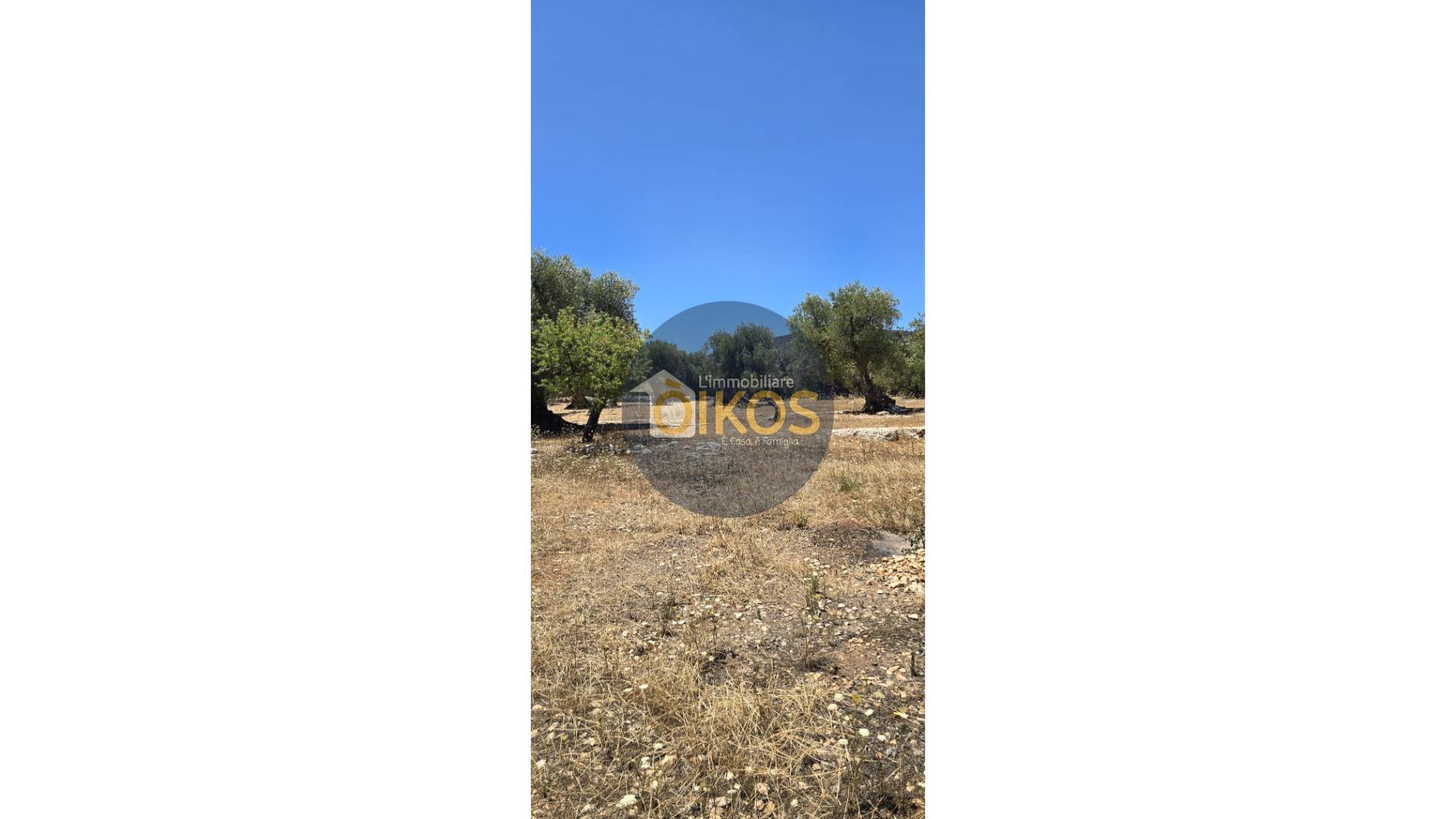 Terreno Agricolo in vendita a Monopoli