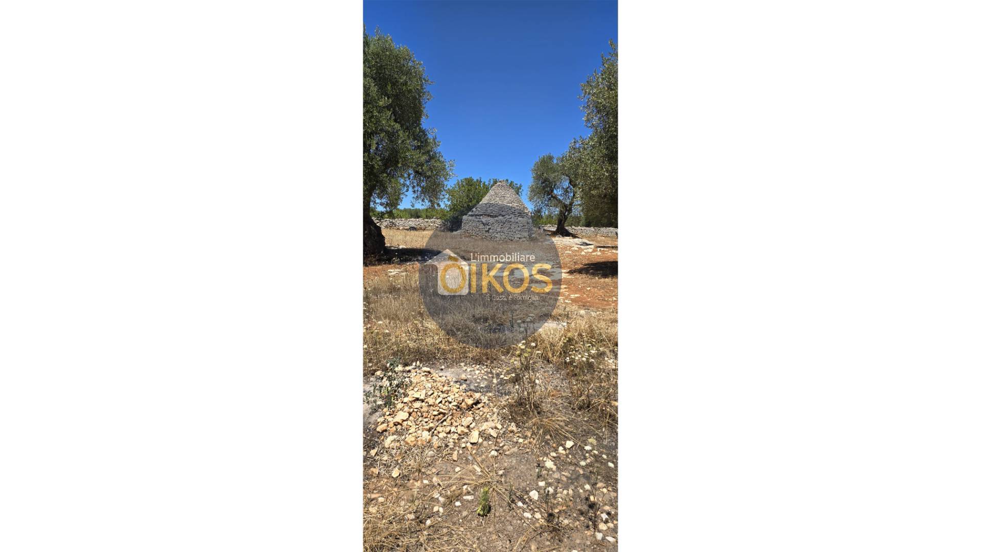 Terreno Agricolo in vendita a Monopoli