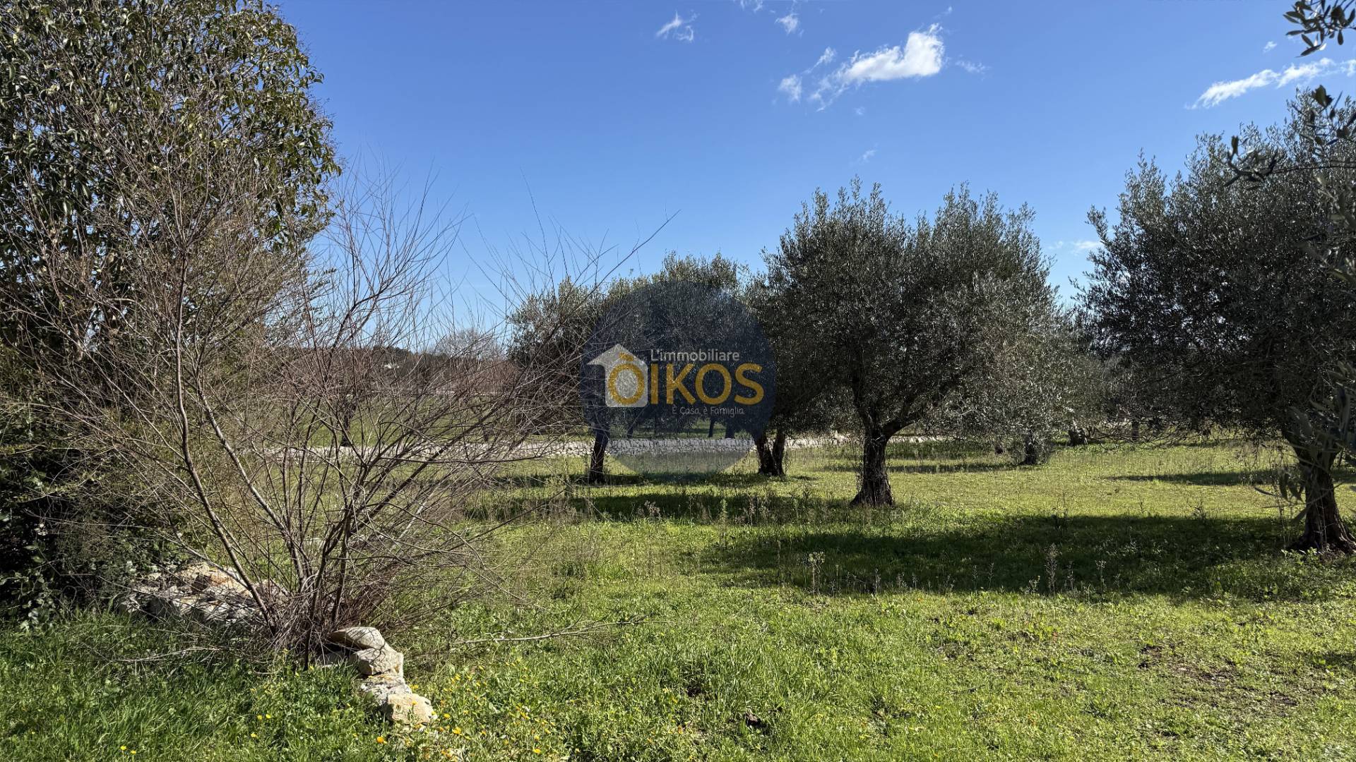 Abitazione Tipica in vendita a Monopoli