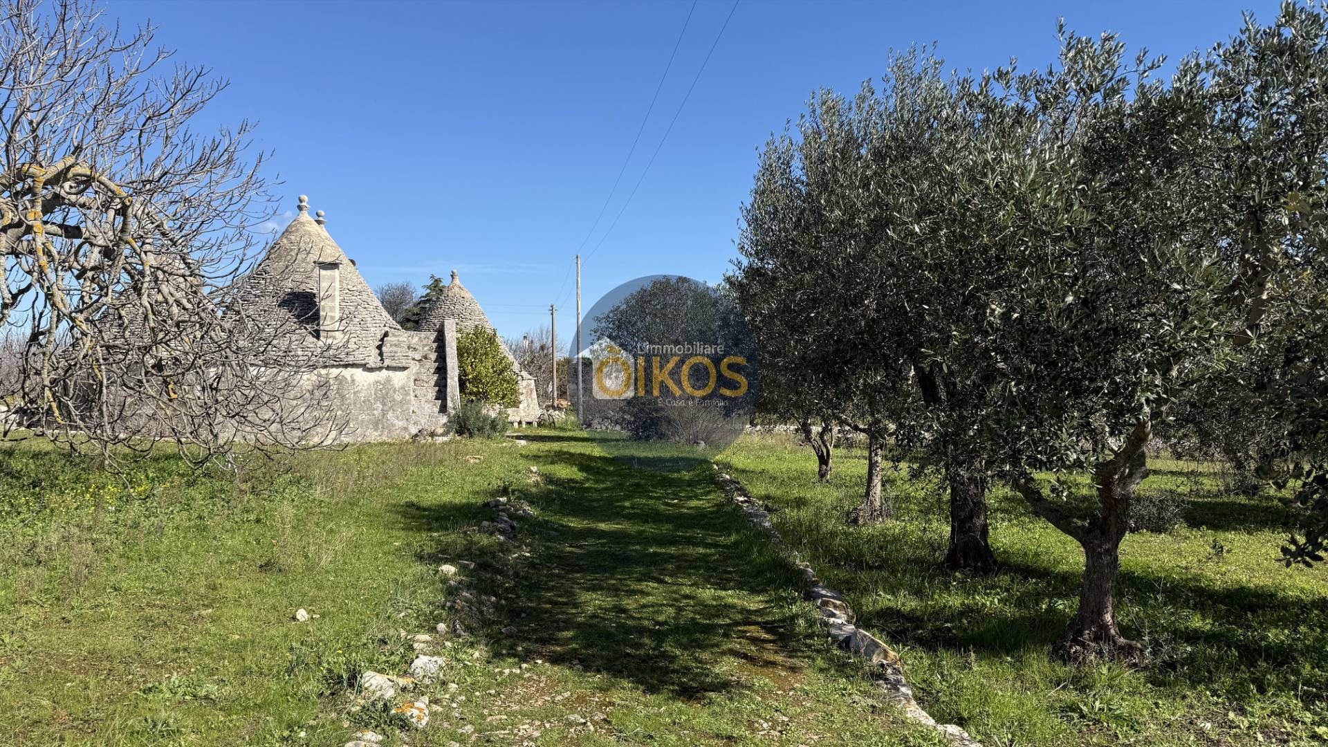 Abitazione Tipica in vendita a Monopoli