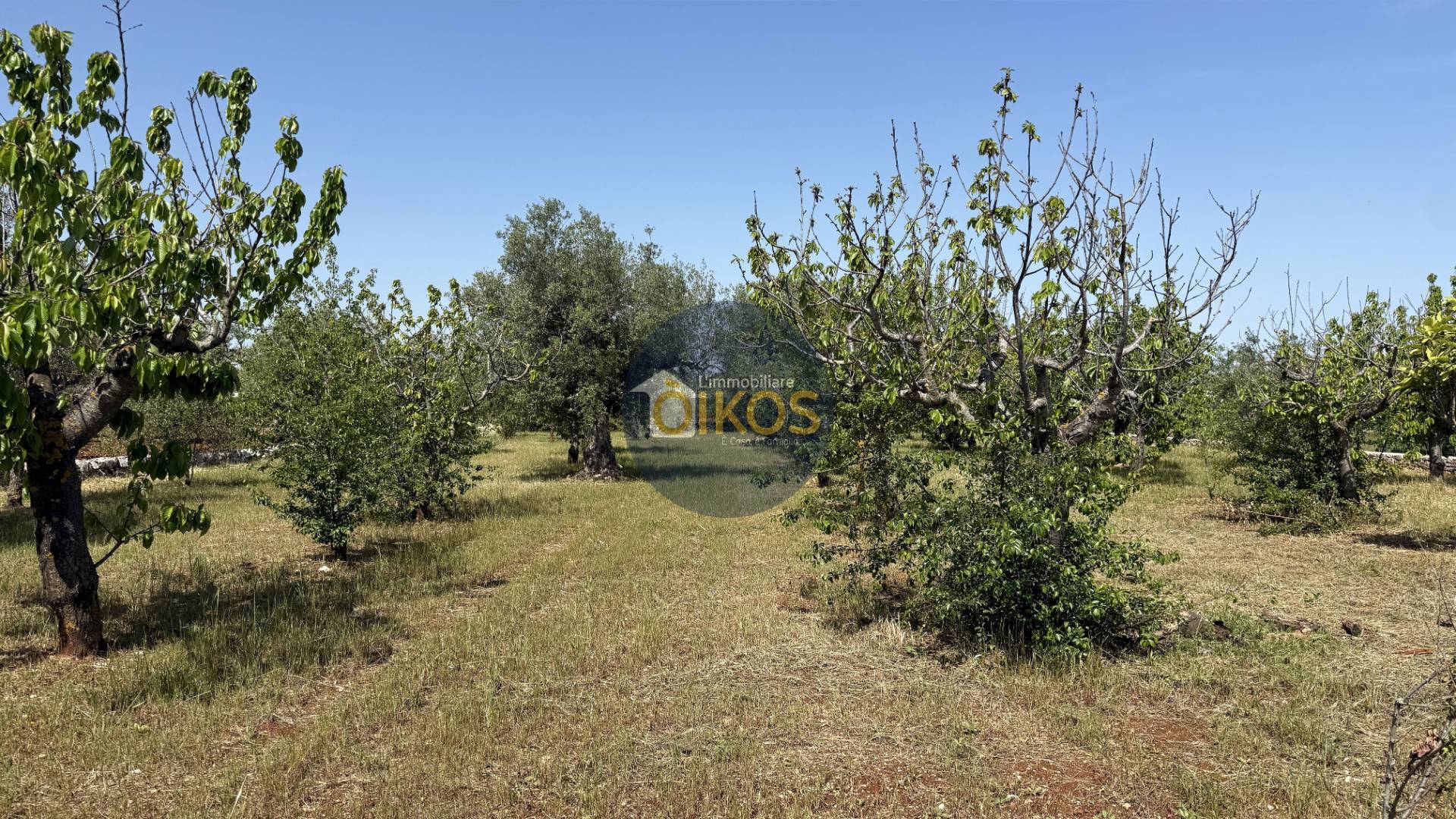Terreno Agricolo in vendita a Polignano a Mare, Chiesa Nuova-Triggianello