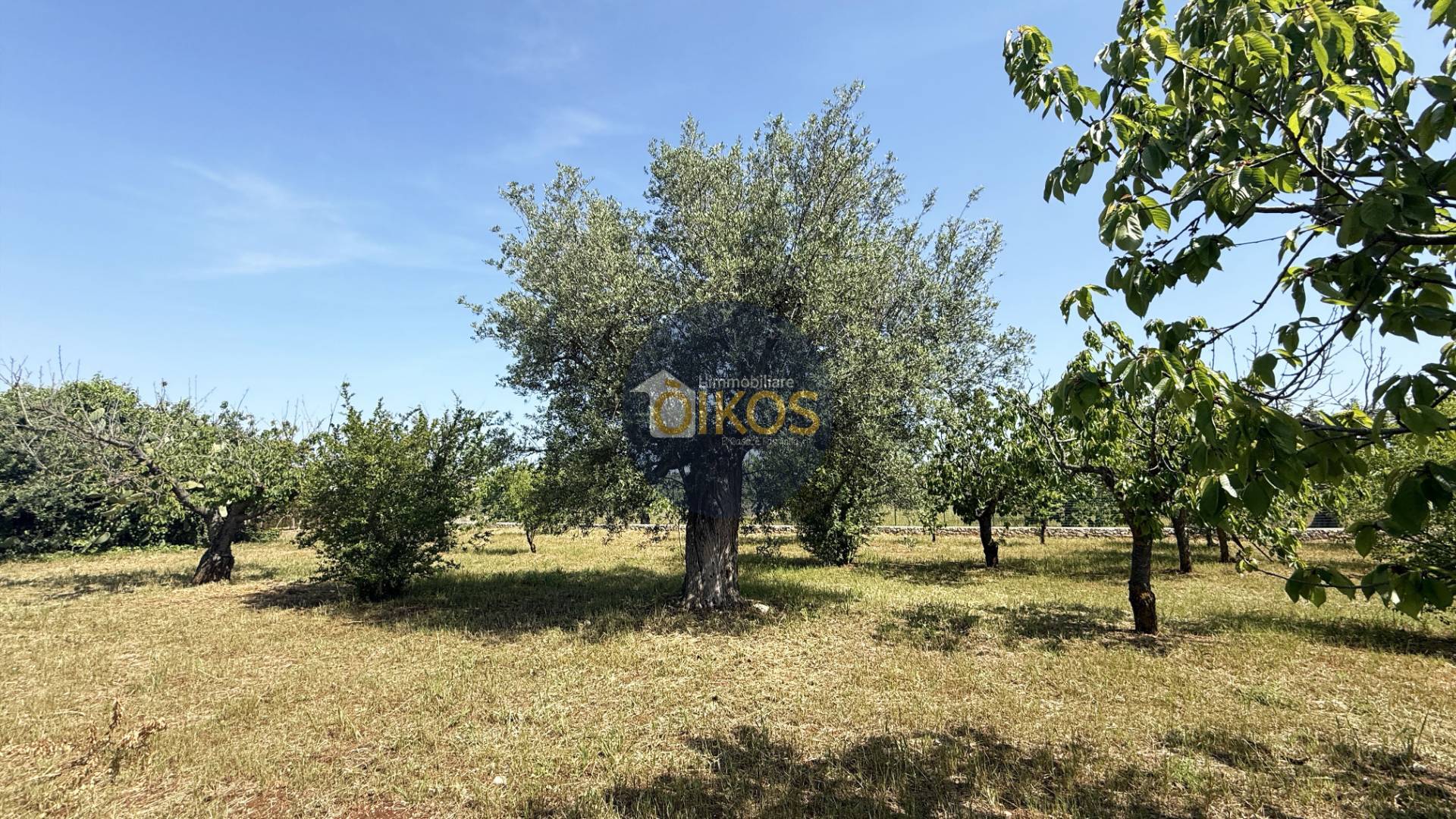 Terreno Agricolo in vendita a Polignano a Mare, Chiesa Nuova-Triggianello