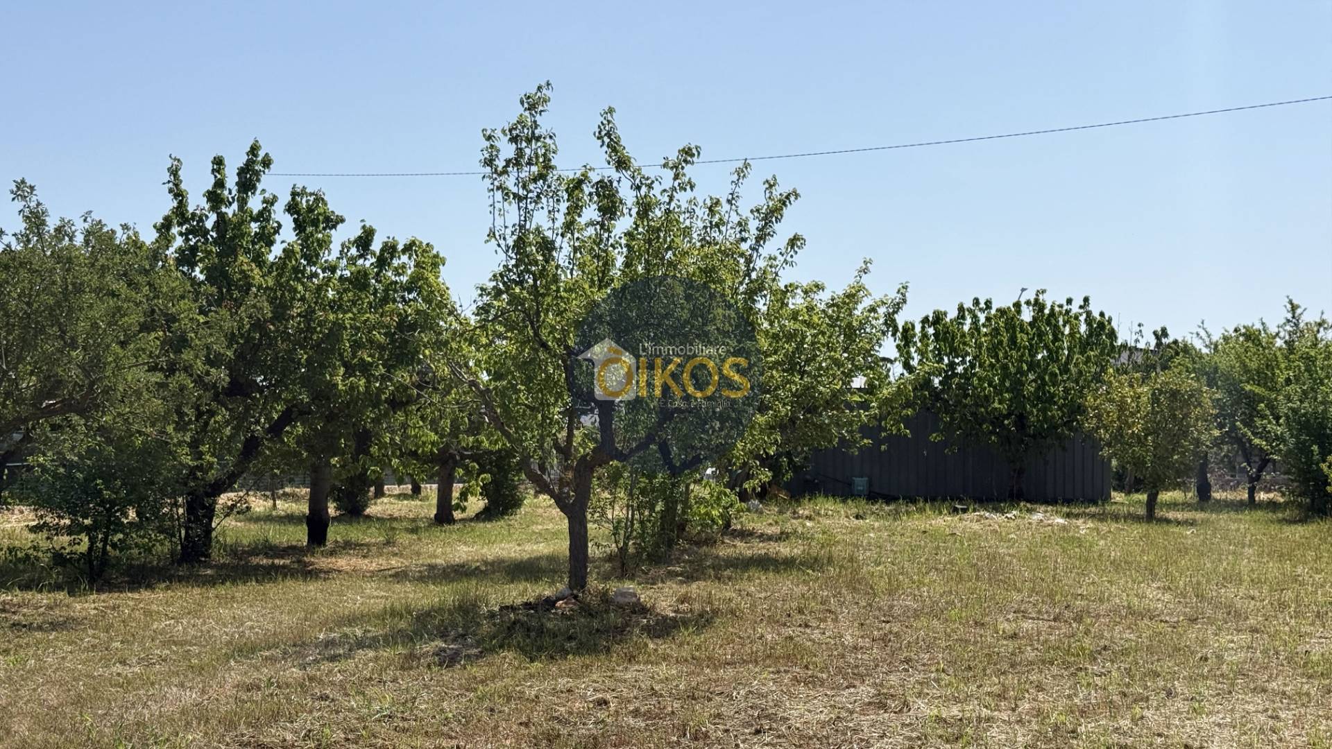 Terreno Agricolo in vendita a Polignano a Mare, Chiesa Nuova-Triggianello
