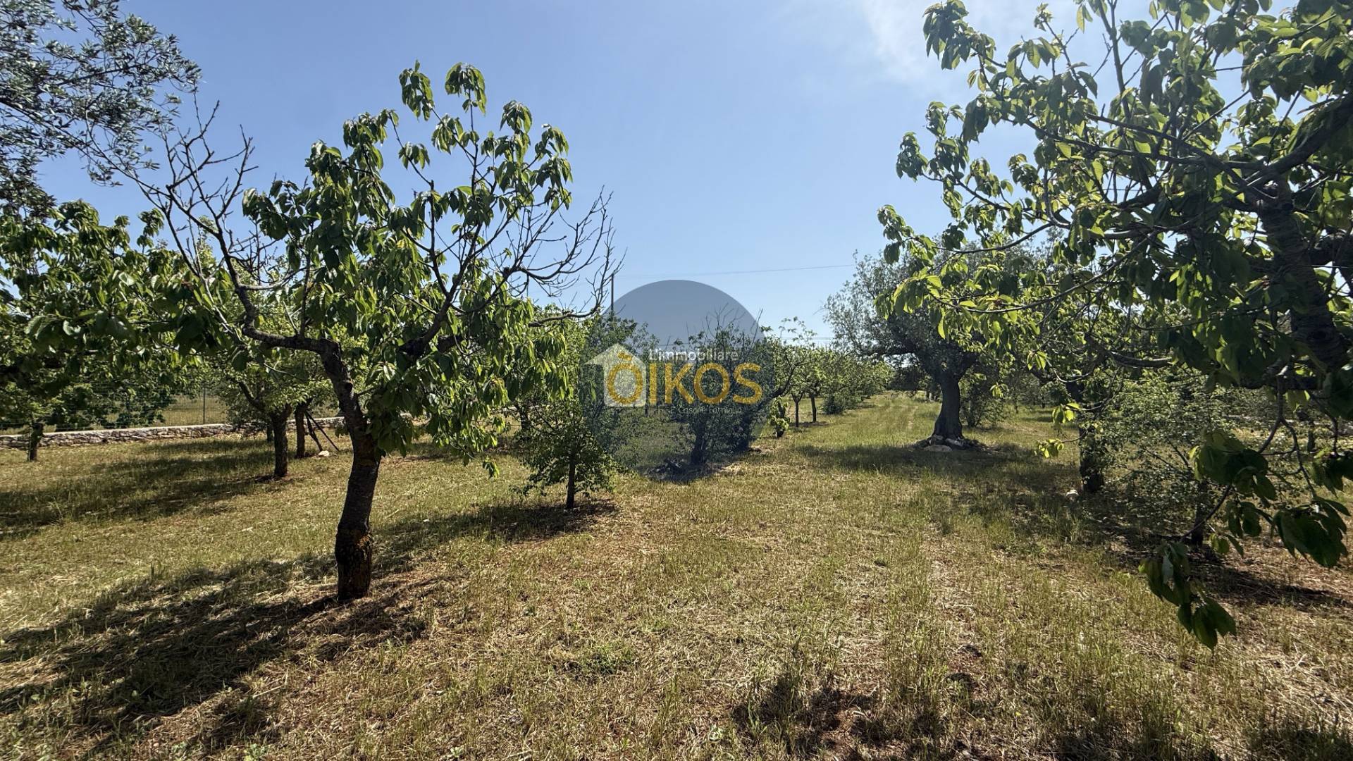 Terreno Agricolo in vendita a Polignano a Mare, Chiesa Nuova-Triggianello