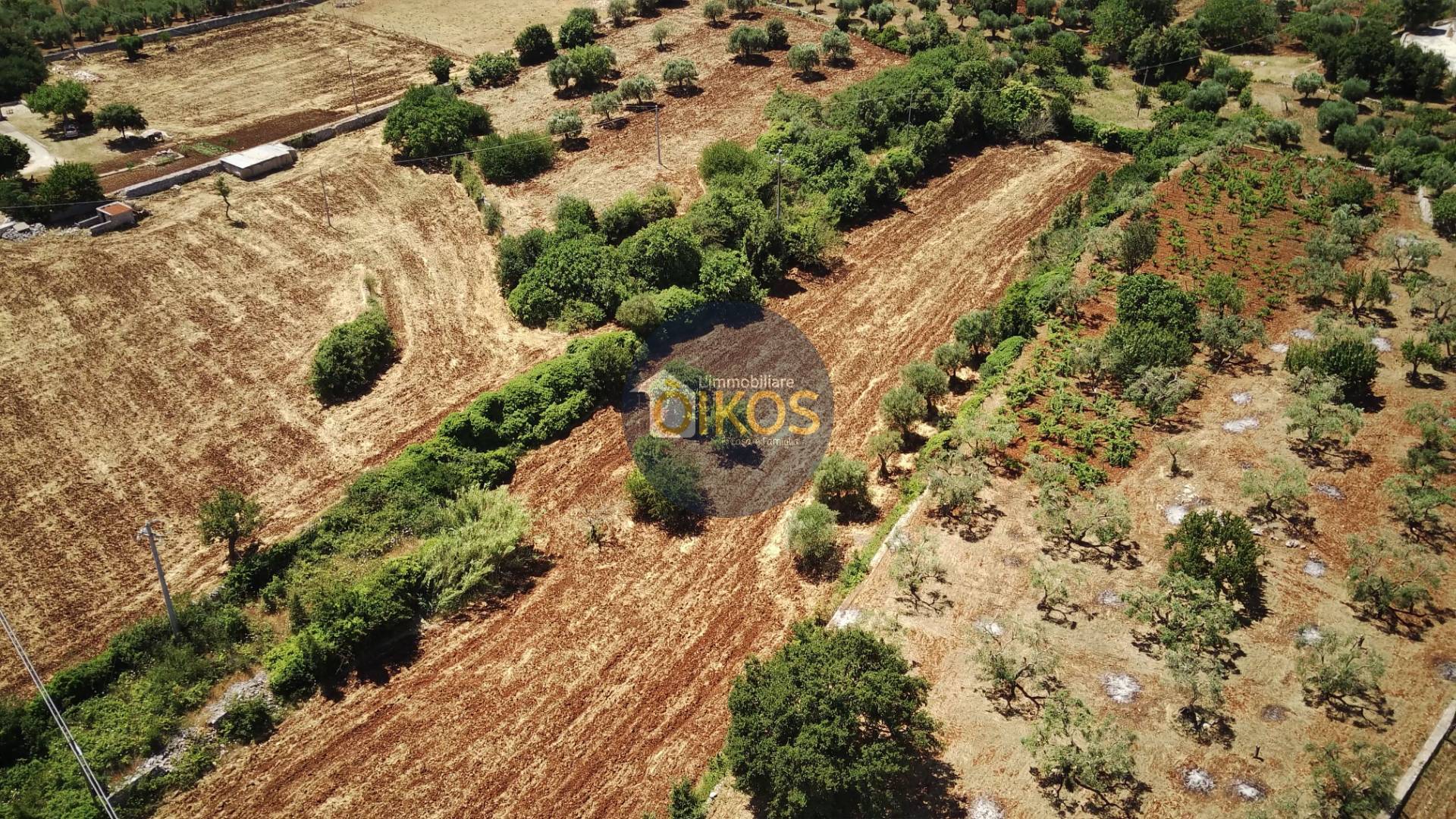 Terreno Agricolo in vendita a Monopoli
