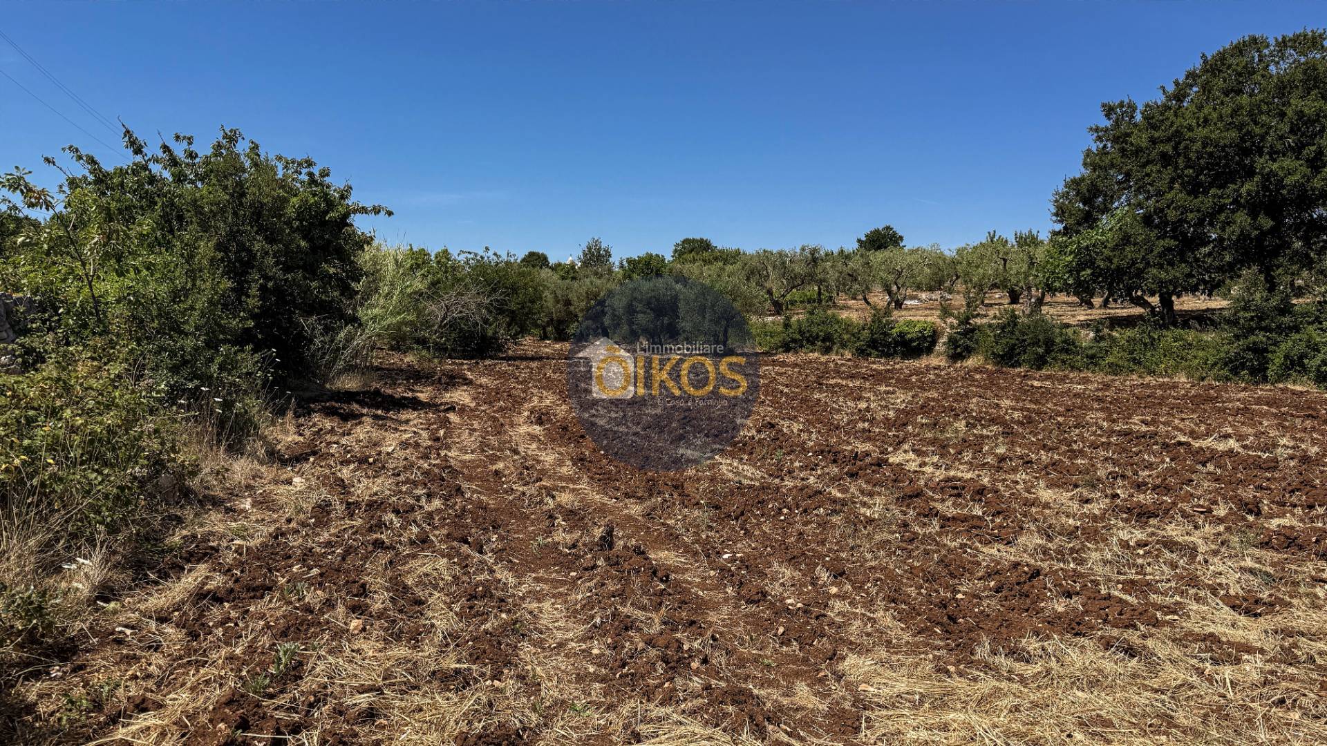 Terreno Agricolo in vendita a Monopoli