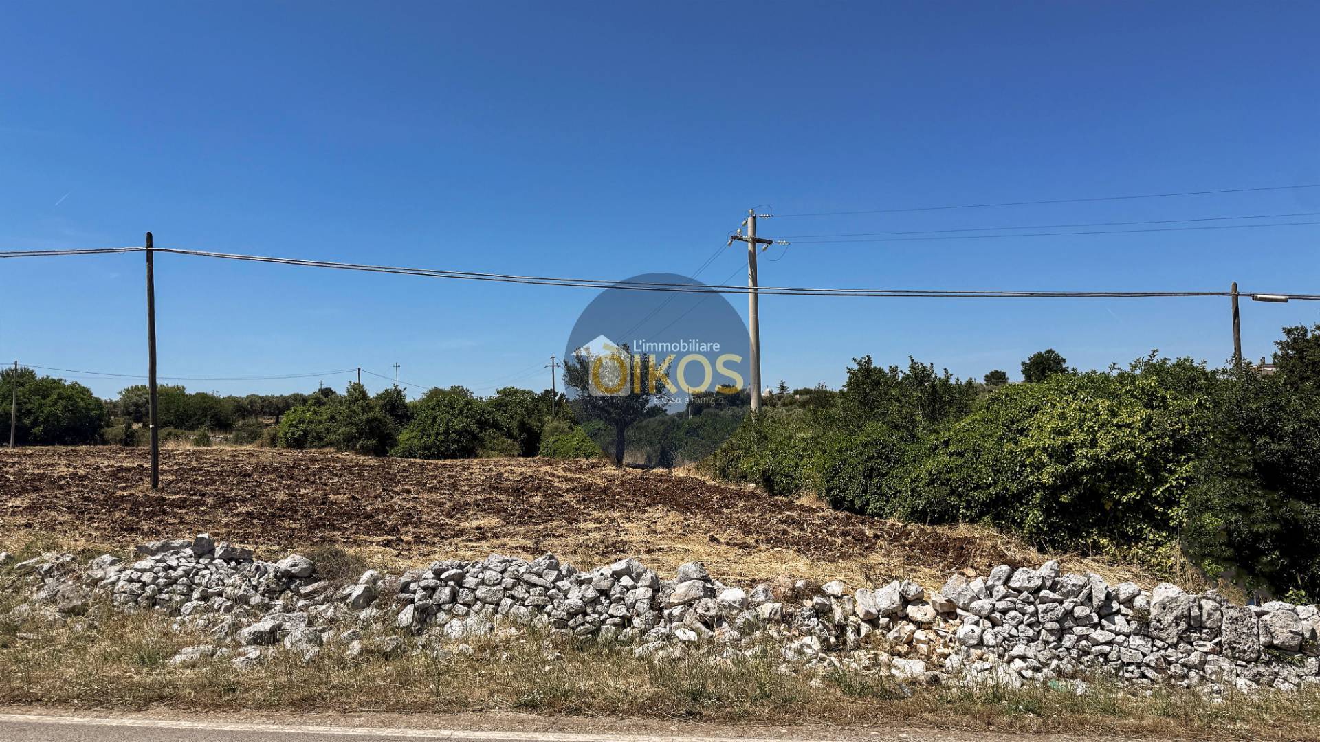 Terreno Agricolo in vendita a Monopoli