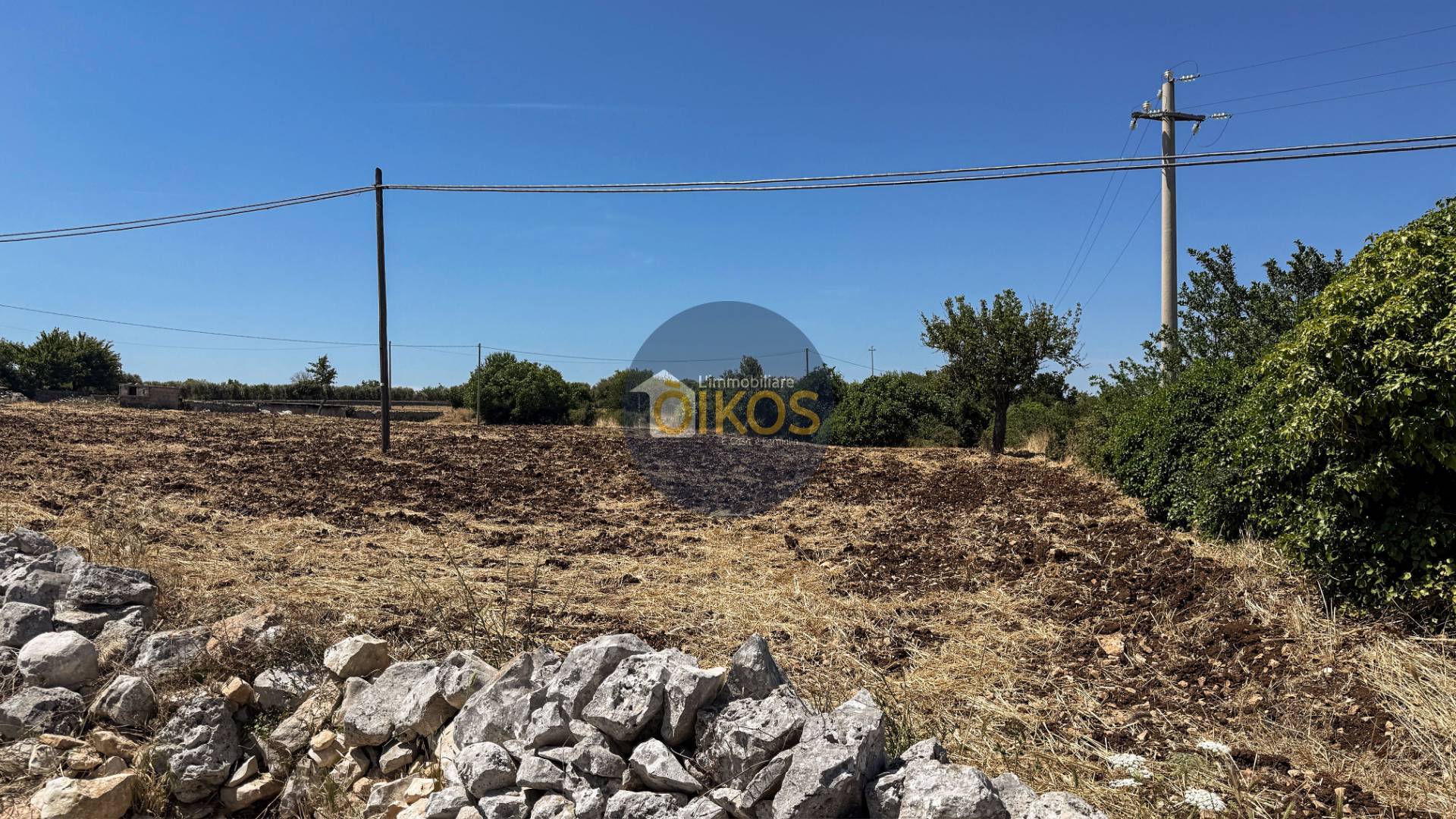 Terreno Agricolo in vendita a Monopoli