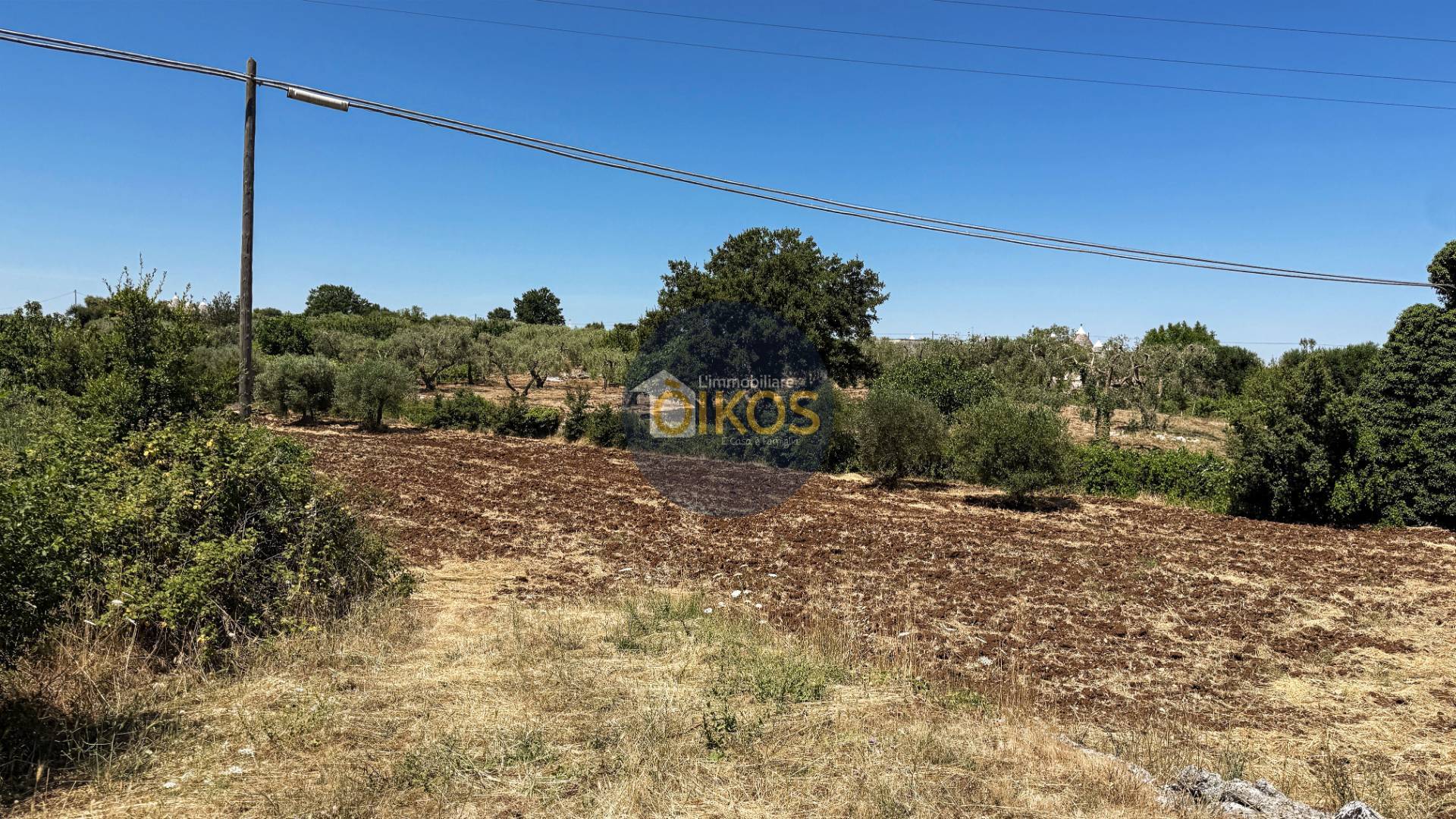 Terreno Agricolo in vendita a Monopoli