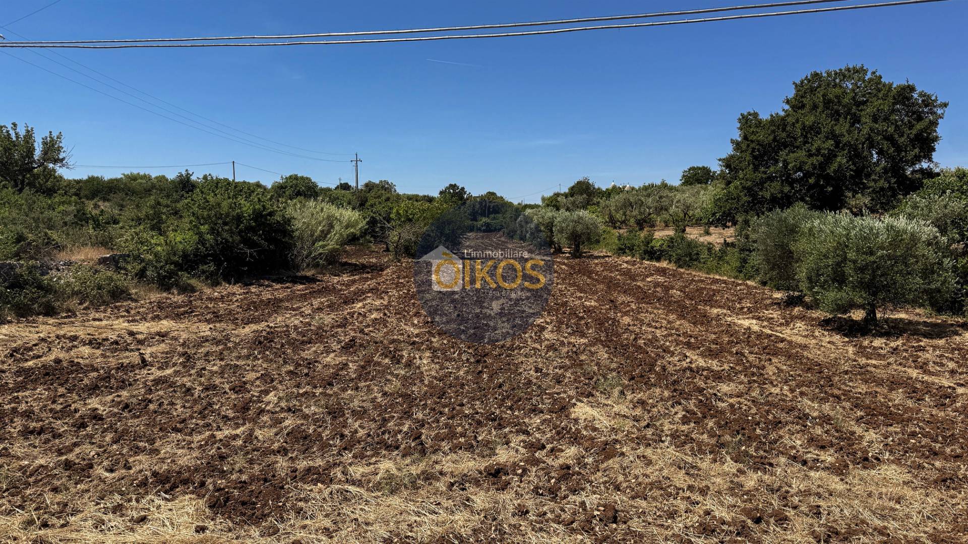 Terreno Agricolo in vendita a Monopoli