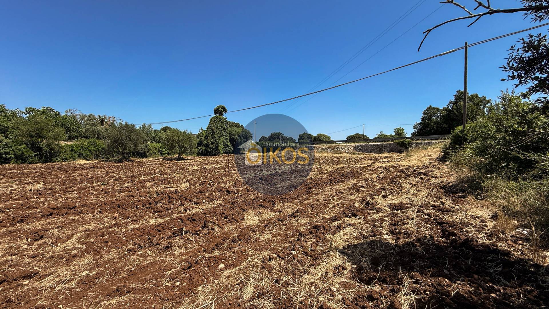 Terreno Agricolo in vendita a Monopoli