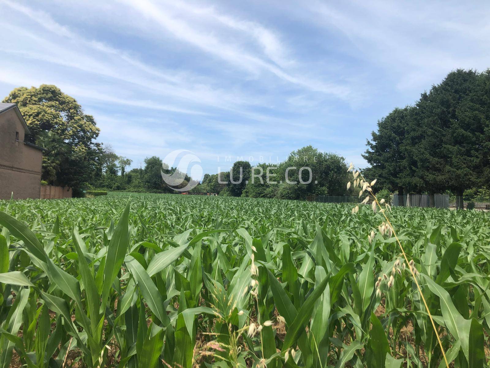 Terreno edificabile in vendita a Sovico