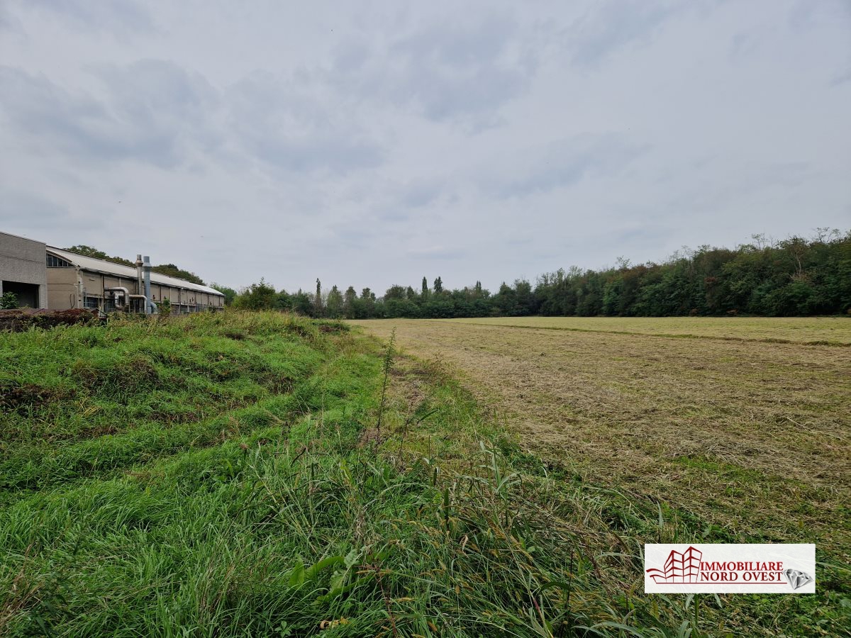 Terreno in vendita, Arluno rogorotto