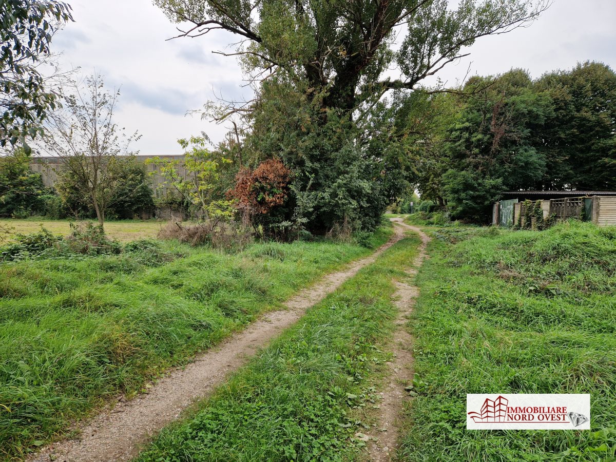 immagine annuncio 1 di 3