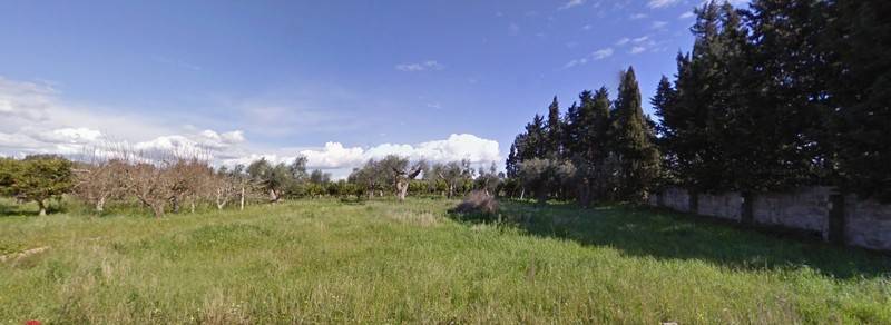 Terreno Agricolo in vendita a Alezio