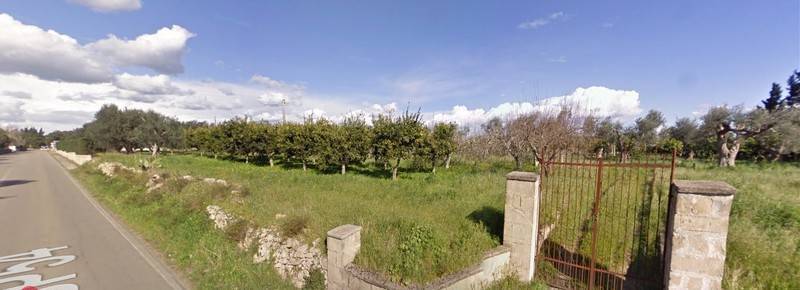 immagine annuncio 1 di 4