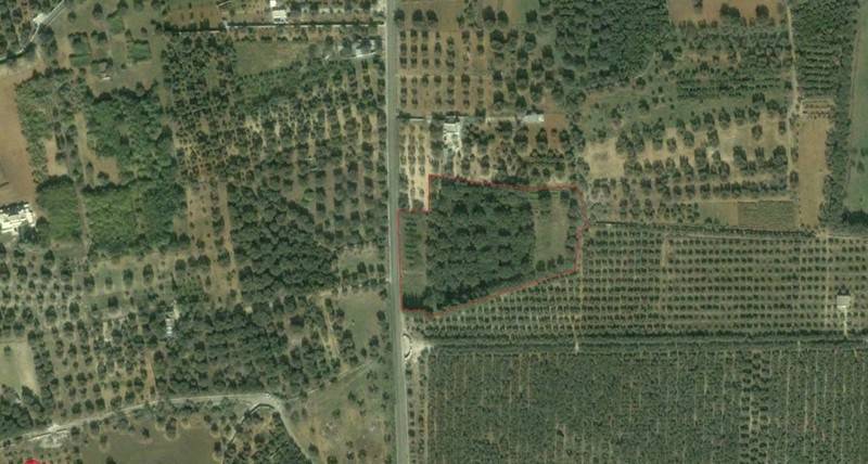 immagine annuncio 2 di 4