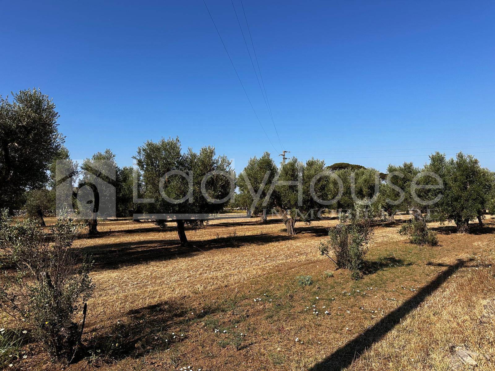 Villa in vendita a Alezio