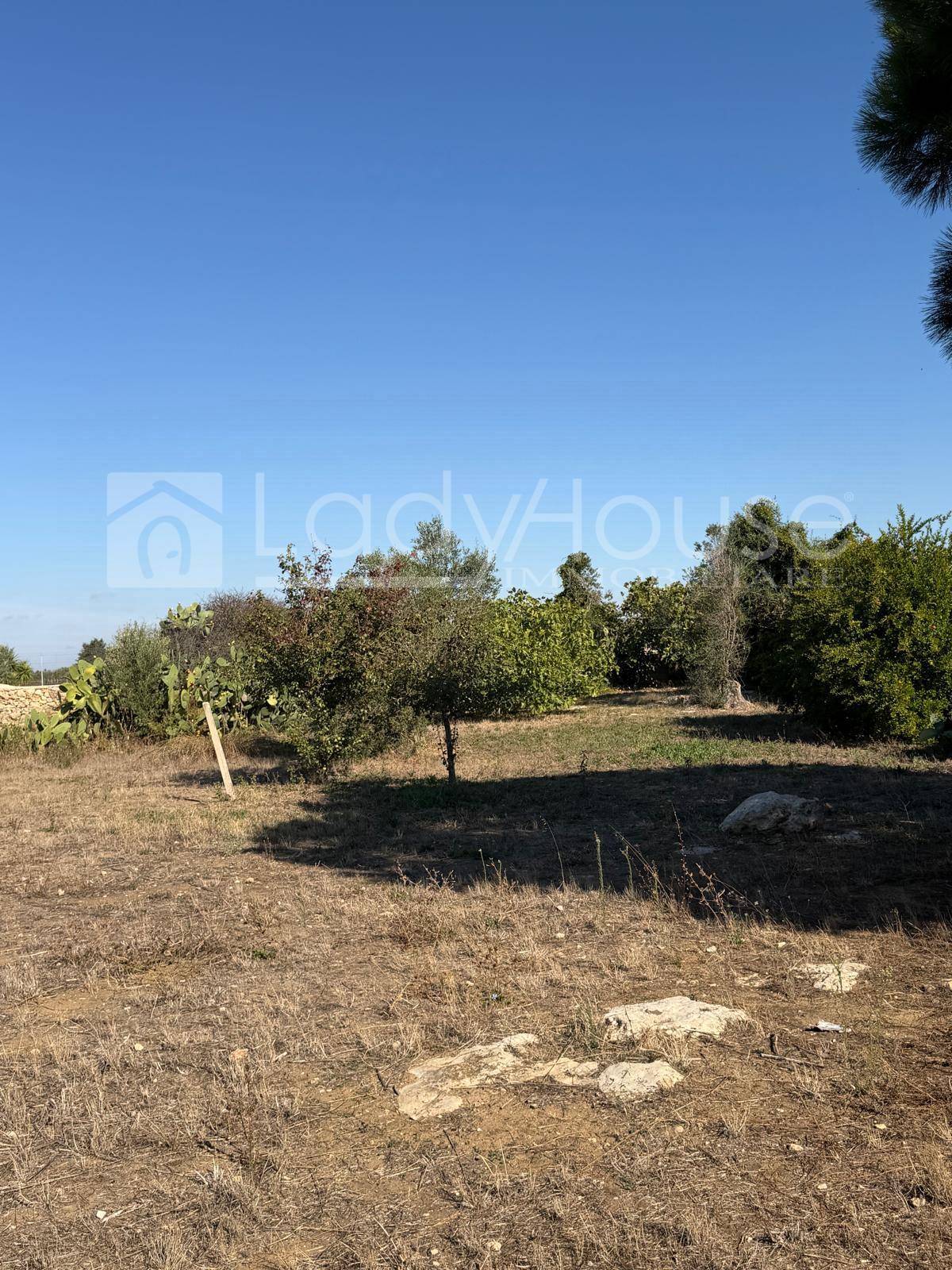 Terreno Agricolo in vendita a Alezio