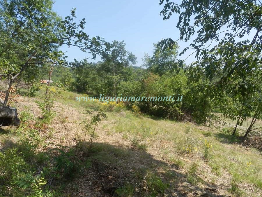 Rustico in vendita a Dego, Girini