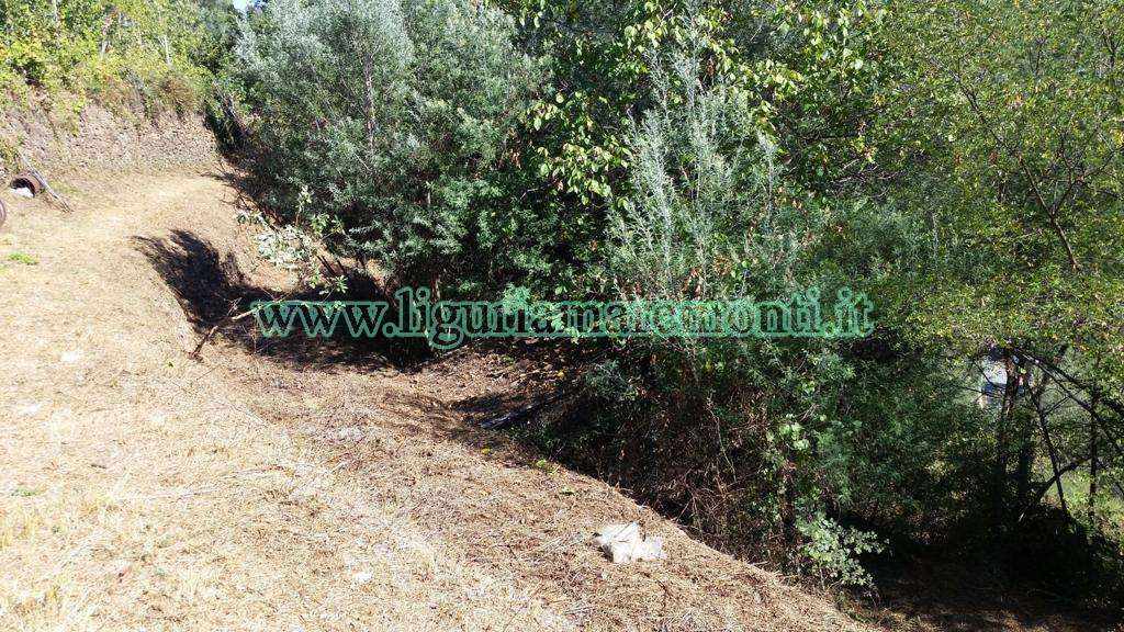 Terreno Agricolo in vendita a Savona, Santuario