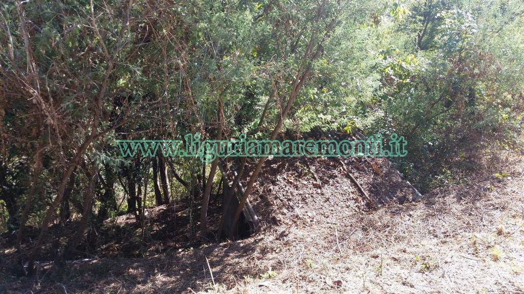 Terreno Agricolo in vendita a Savona, Santuario