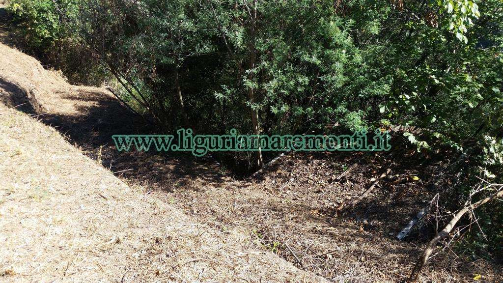 Terreno Agricolo in vendita a Savona, Santuario