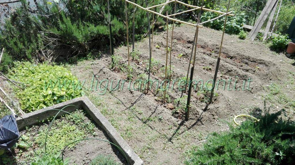 Villette a schiera in vendita a Dego, Piano