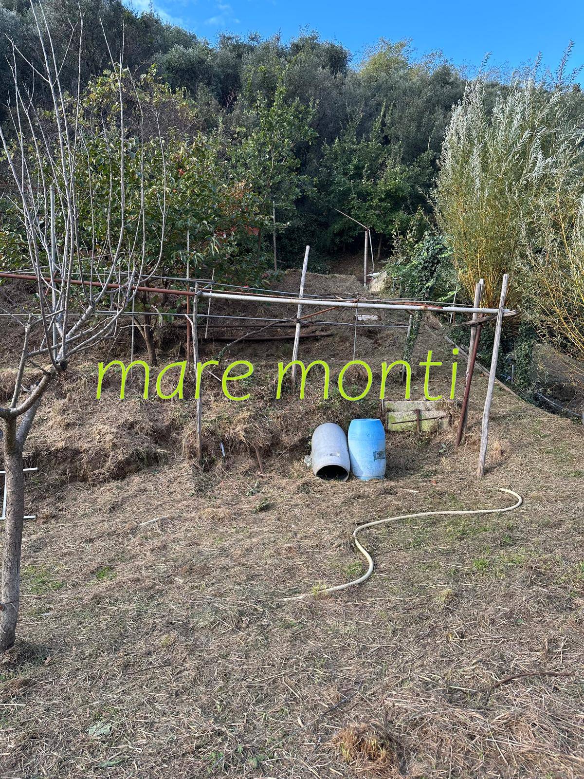 Terreno Agricolo in vendita a Albissola Marina