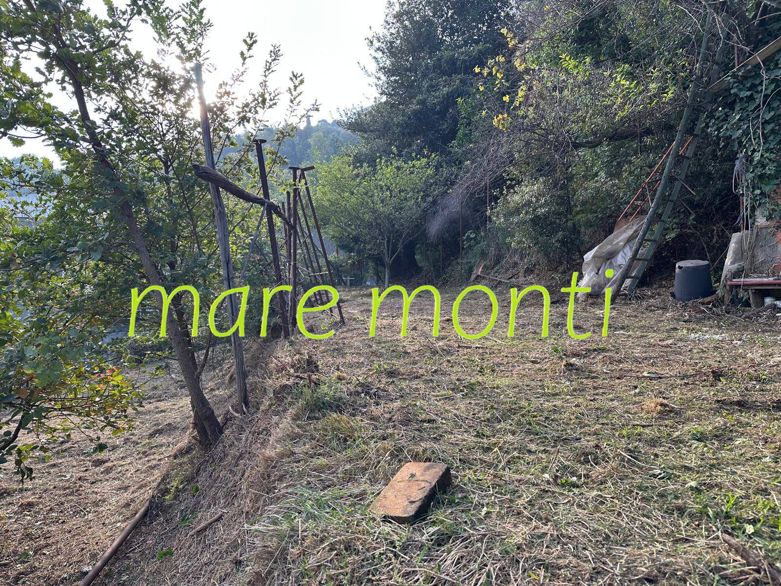 Terreno Agricolo in vendita a Albissola Marina
