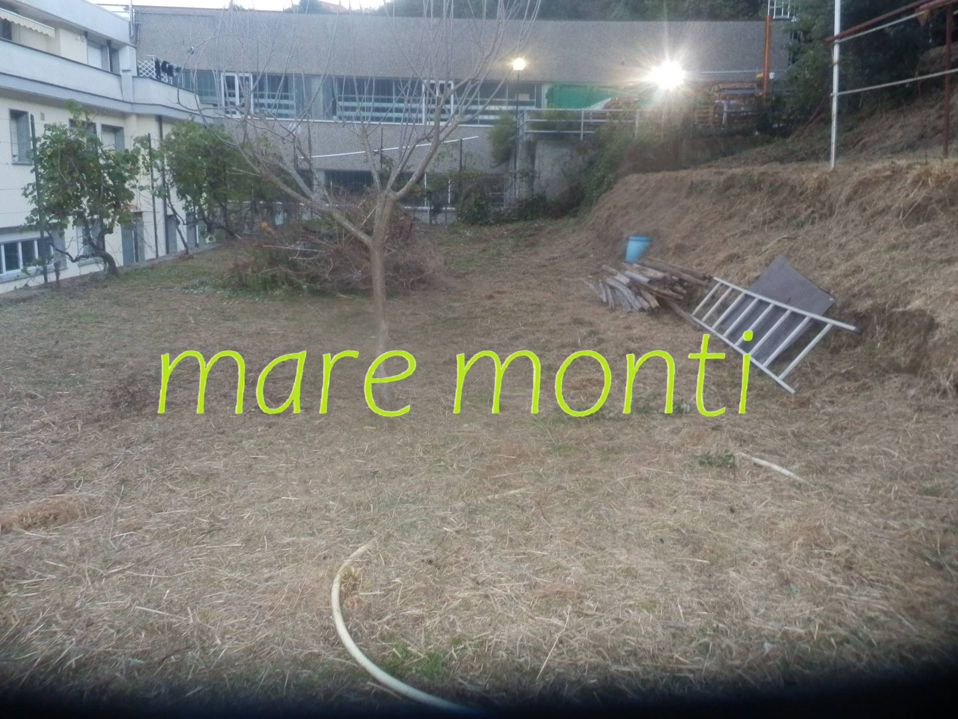 Terreno Agricolo in vendita a Albissola Marina