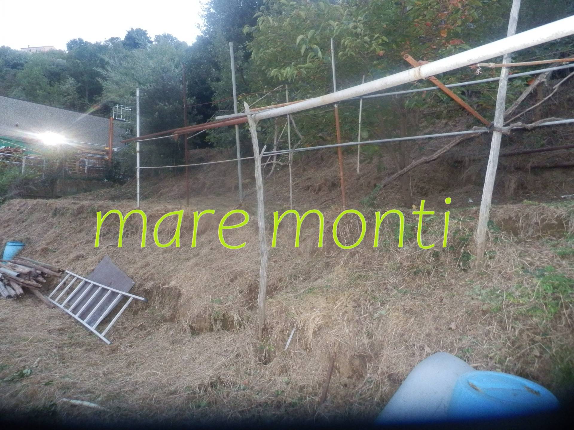 Terreno Agricolo in vendita a Albissola Marina