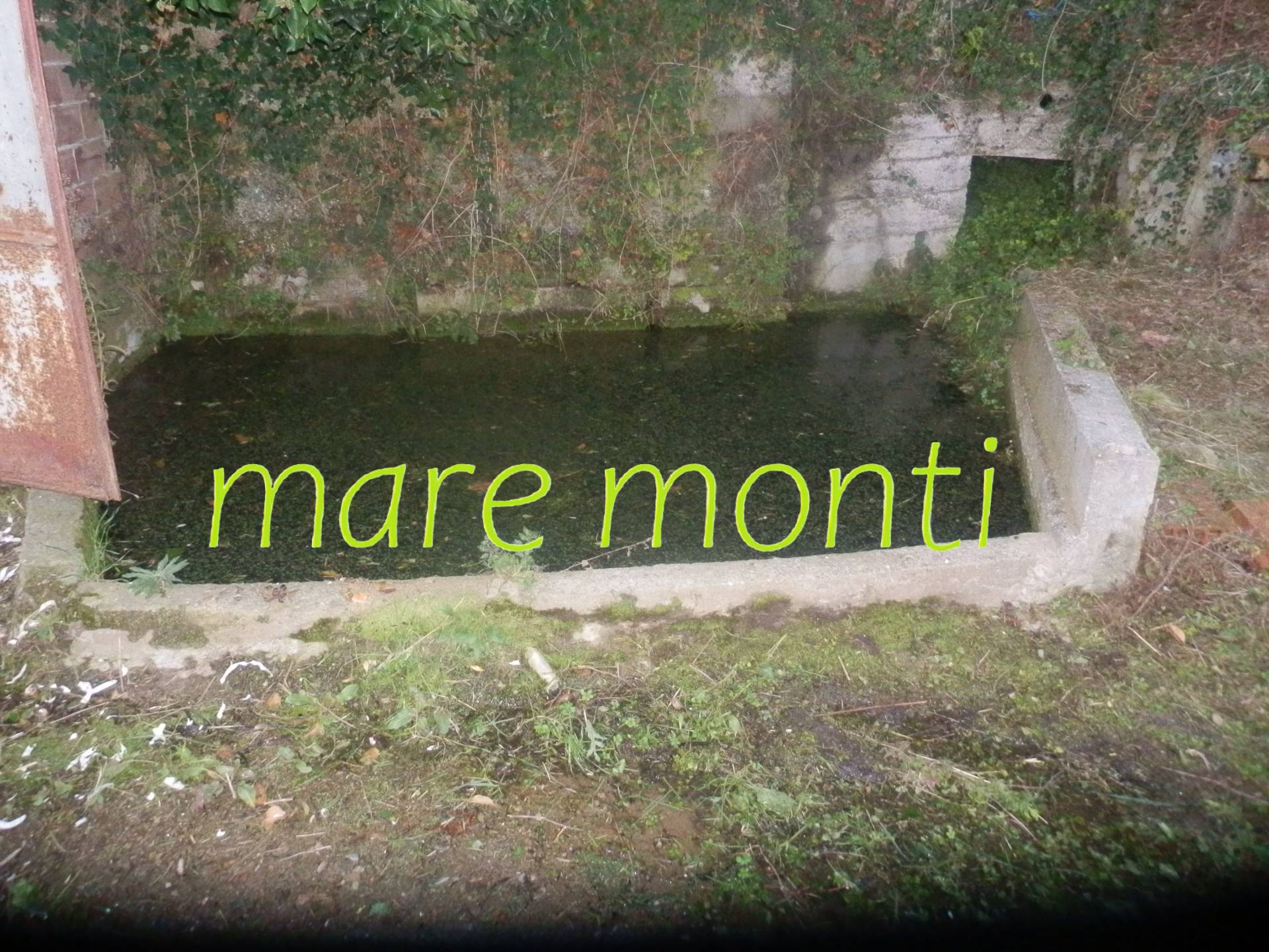 Terreno Agricolo in vendita a Albissola Marina